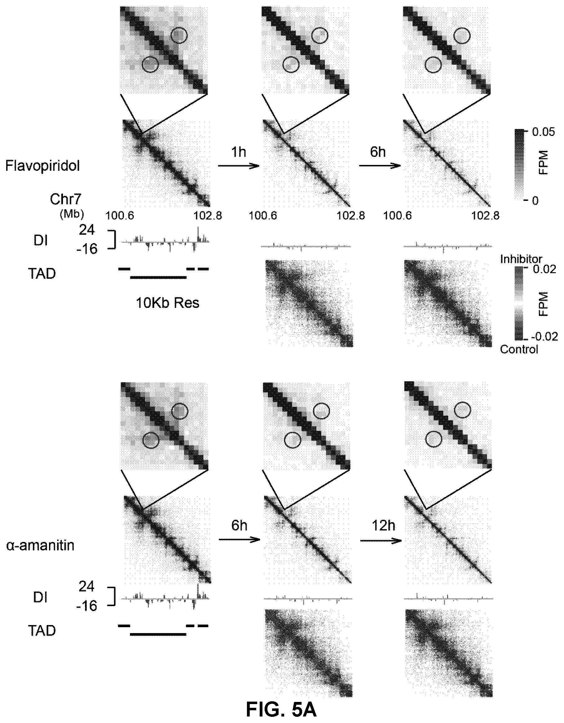 Patent US12359242 Figure 18 – Chemical platform assisted proximity capture (CAP-C)
