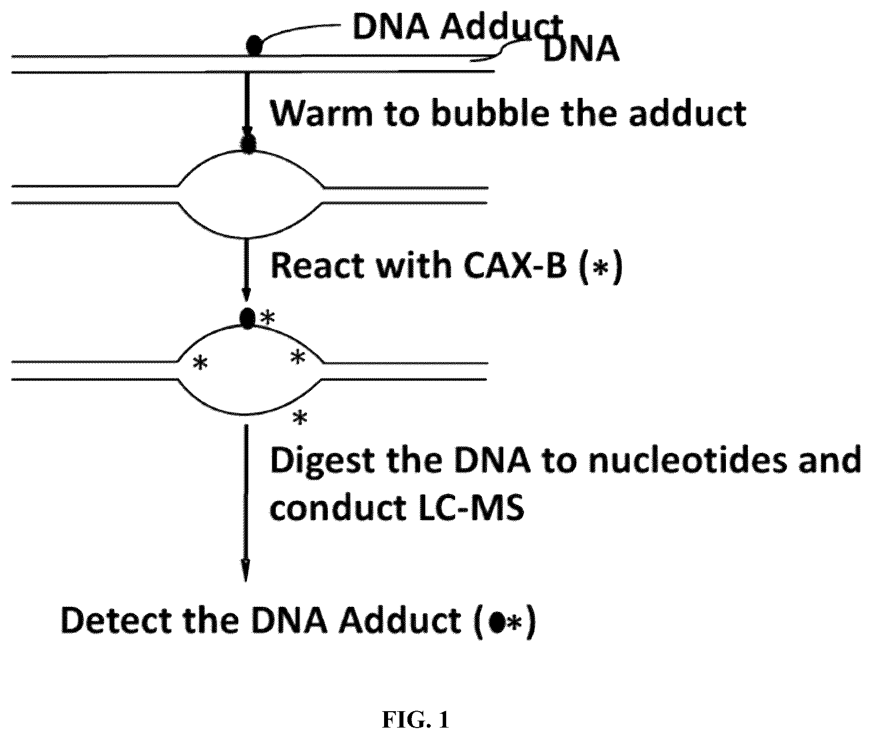 Patent US12359243 Figure 1 – DNA adductomics by mass tag prelabeling