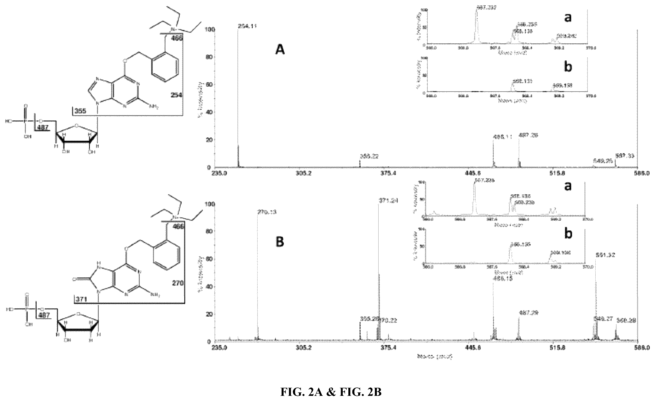 Patent US12359243 Figure 2 – DNA adductomics by mass tag prelabeling