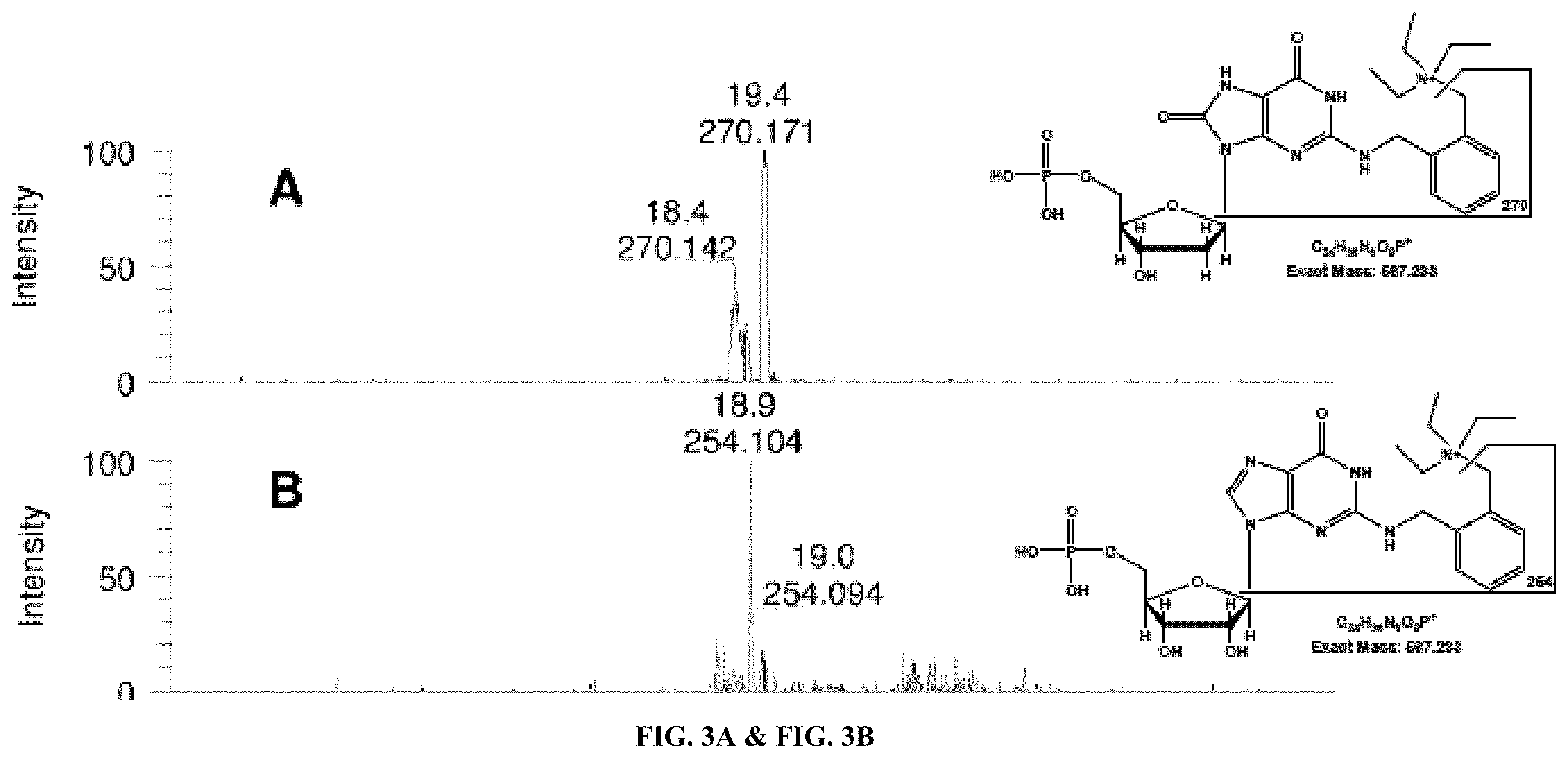 Patent US12359243 Figure 3 – DNA adductomics by mass tag prelabeling