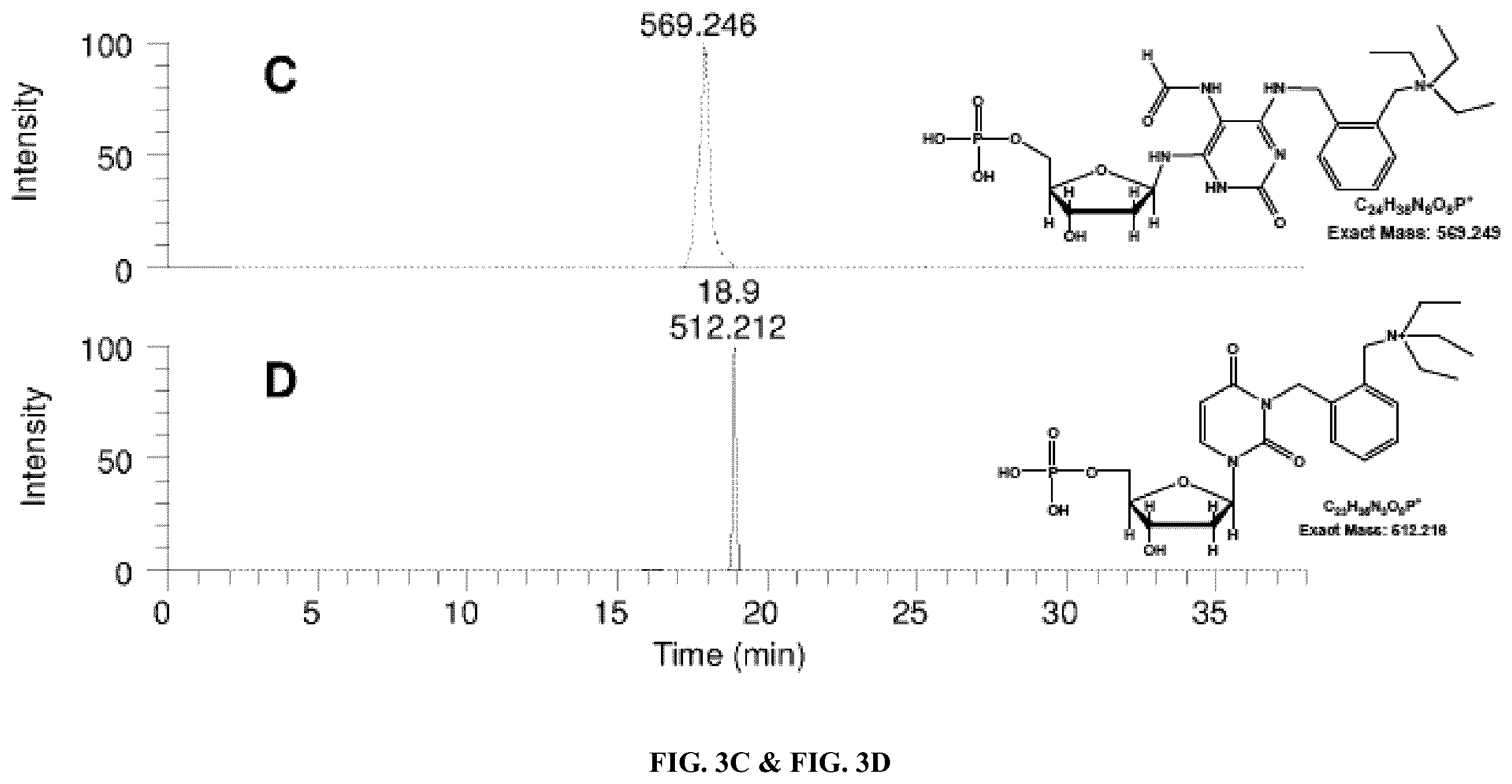 Patent US12359243 Figure 4 – DNA adductomics by mass tag prelabeling