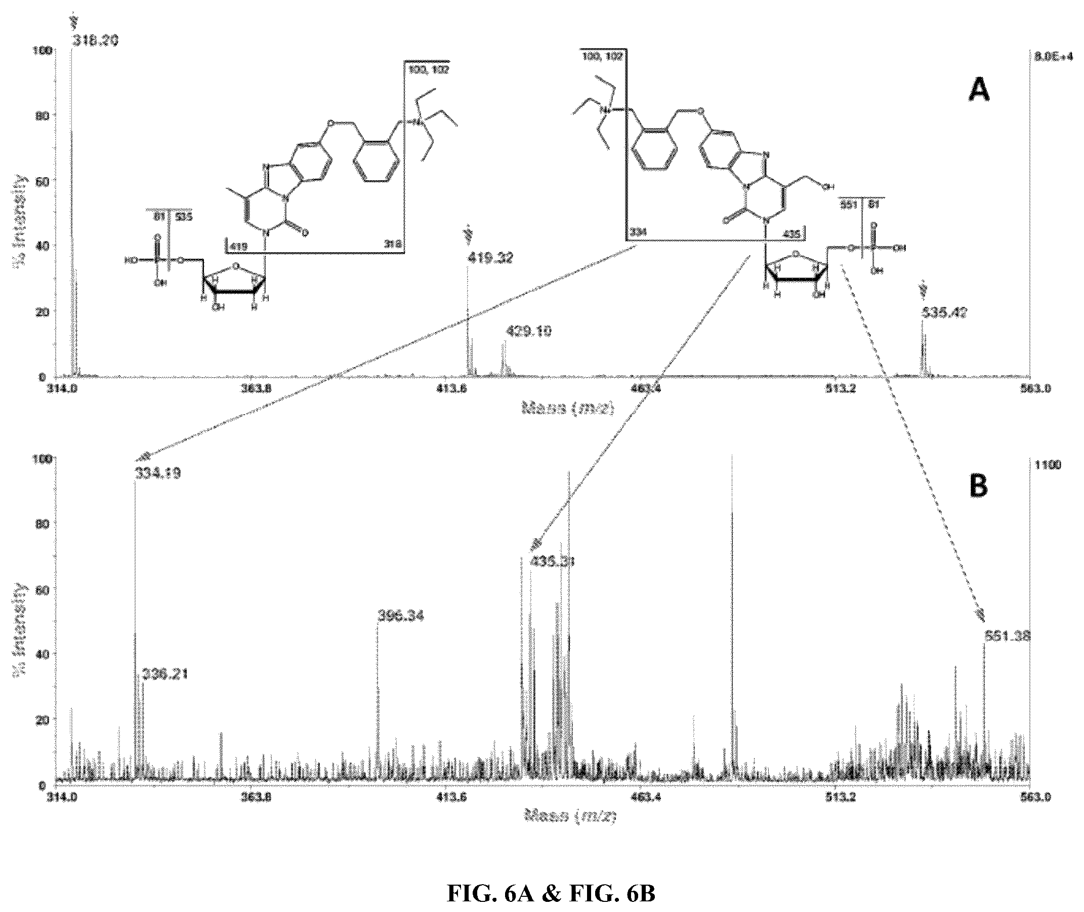 Patent US12359243 Figure 7 – DNA adductomics by mass tag prelabeling