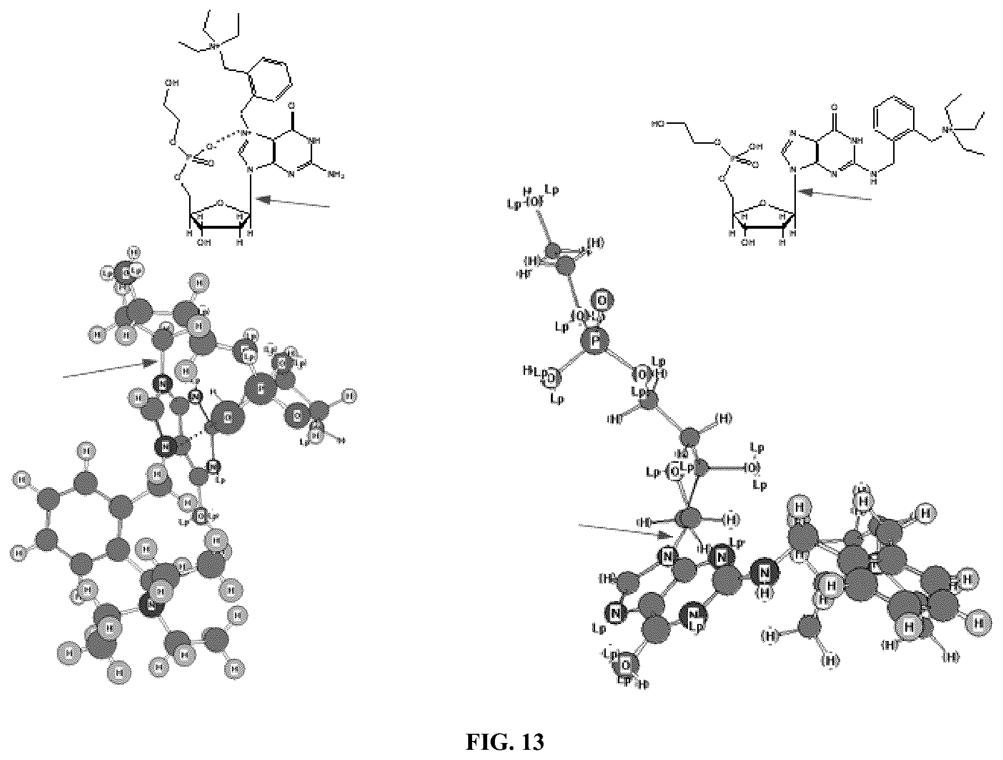 Patent US12359243 Figure 14 – DNA adductomics by mass tag prelabeling
