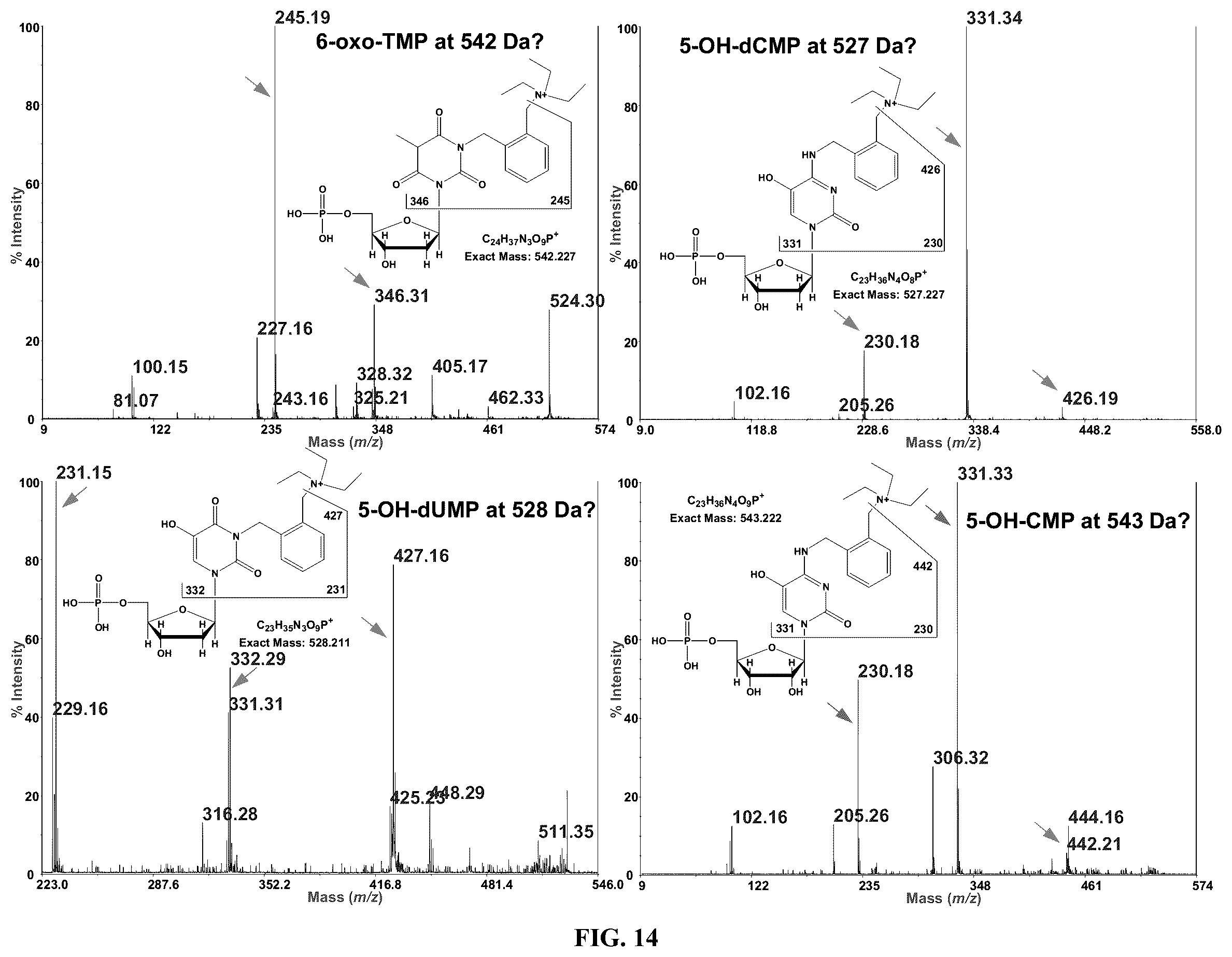 Patent US12359243 Figure 15 – DNA adductomics by mass tag prelabeling