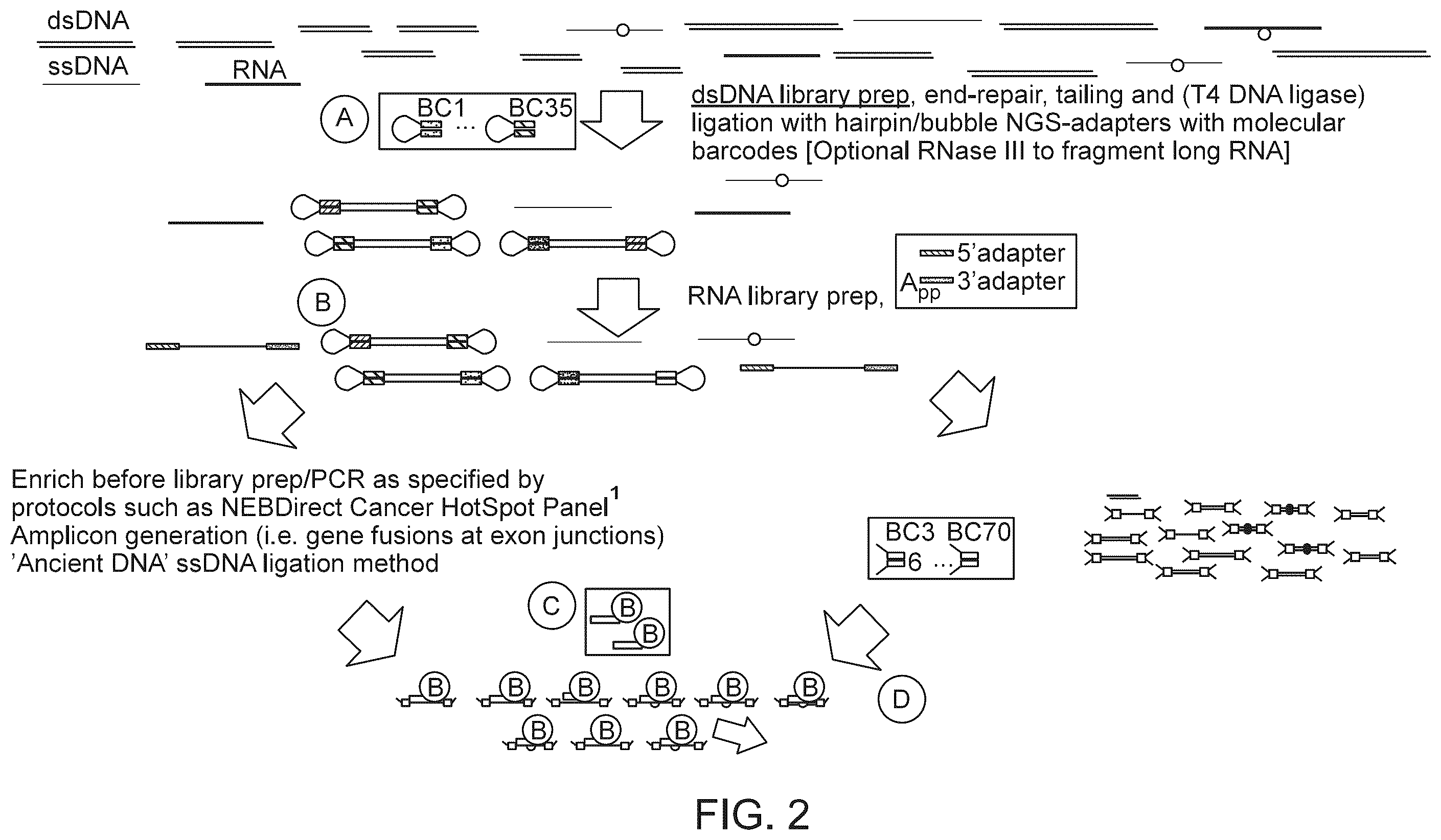 Patent US12359245 Figure 2 – Methods and systems for analyzing nucleic acid molecules