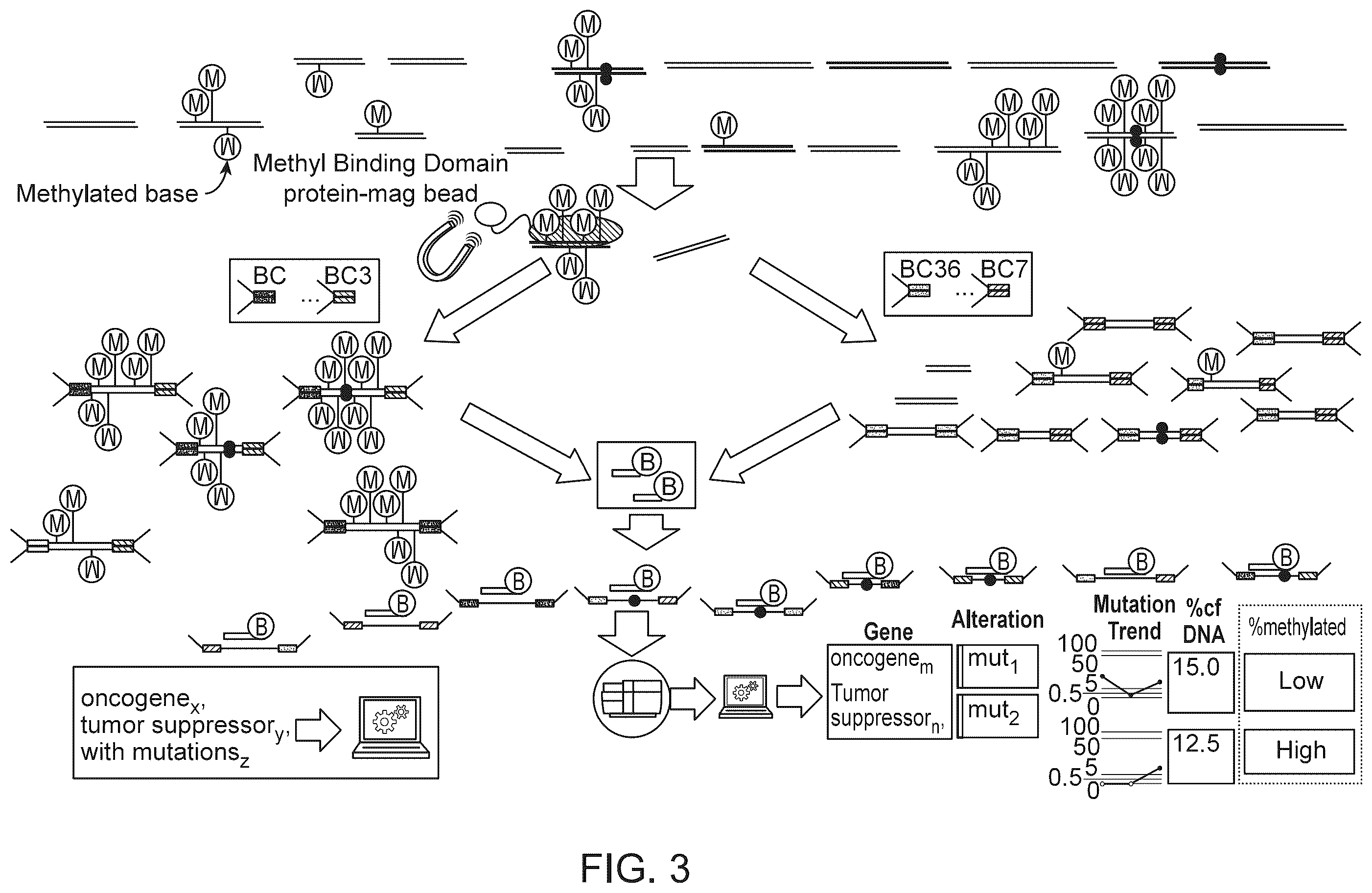 Patent US12359245 Figure 3 – Methods and systems for analyzing nucleic acid molecules