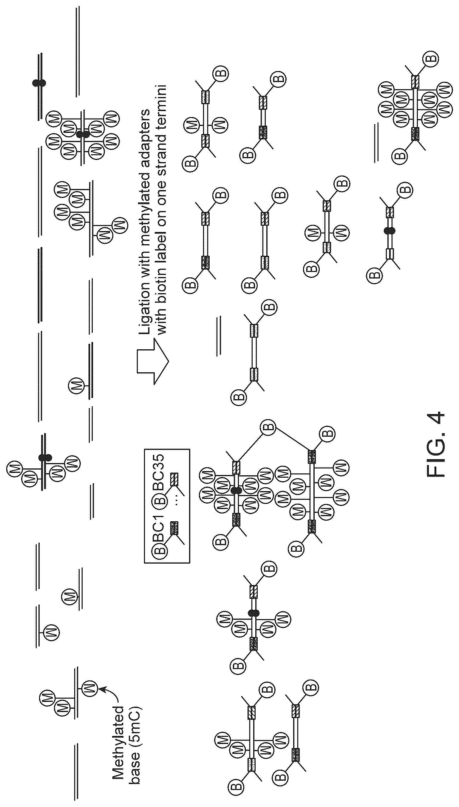 Patent US12359245 Figure 4 – Methods and systems for analyzing nucleic acid molecules