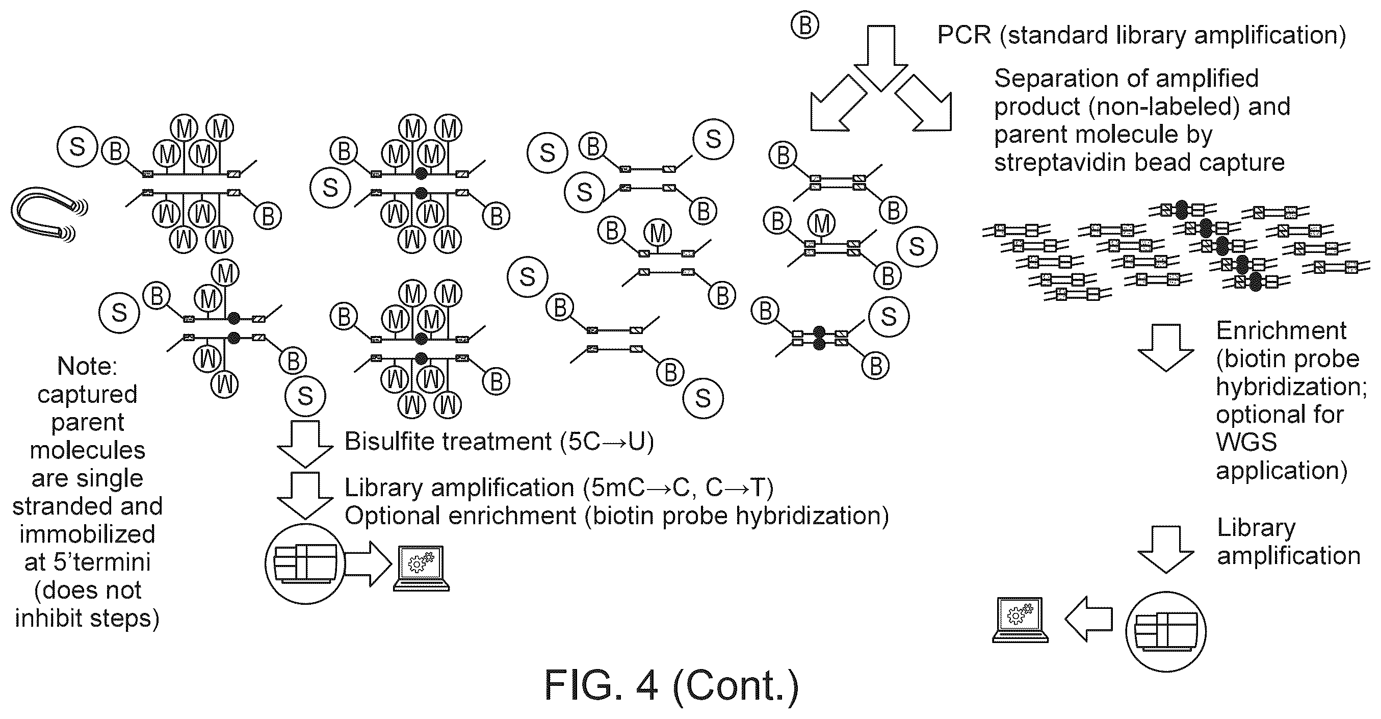 Patent US12359245 Figure 5 – Methods and systems for analyzing nucleic acid molecules