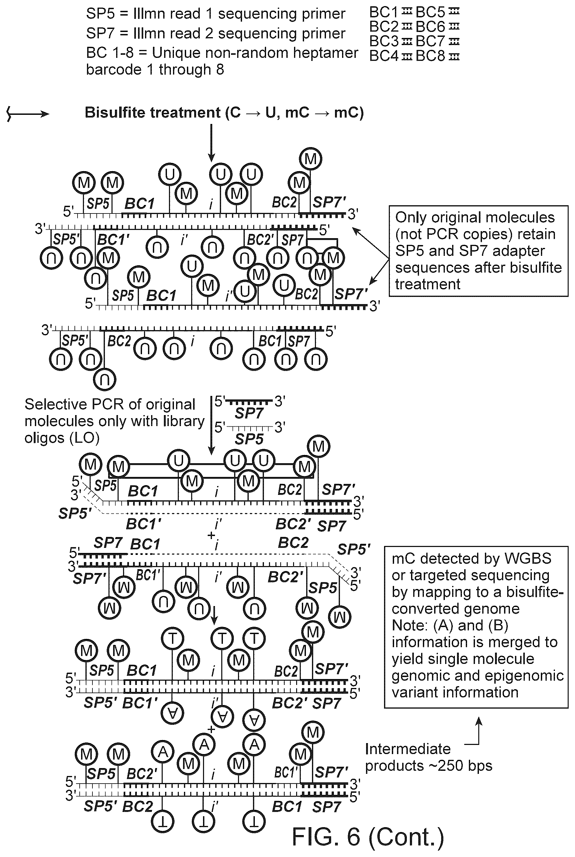 Patent US12359245 Figure 9 – Methods and systems for analyzing nucleic acid molecules