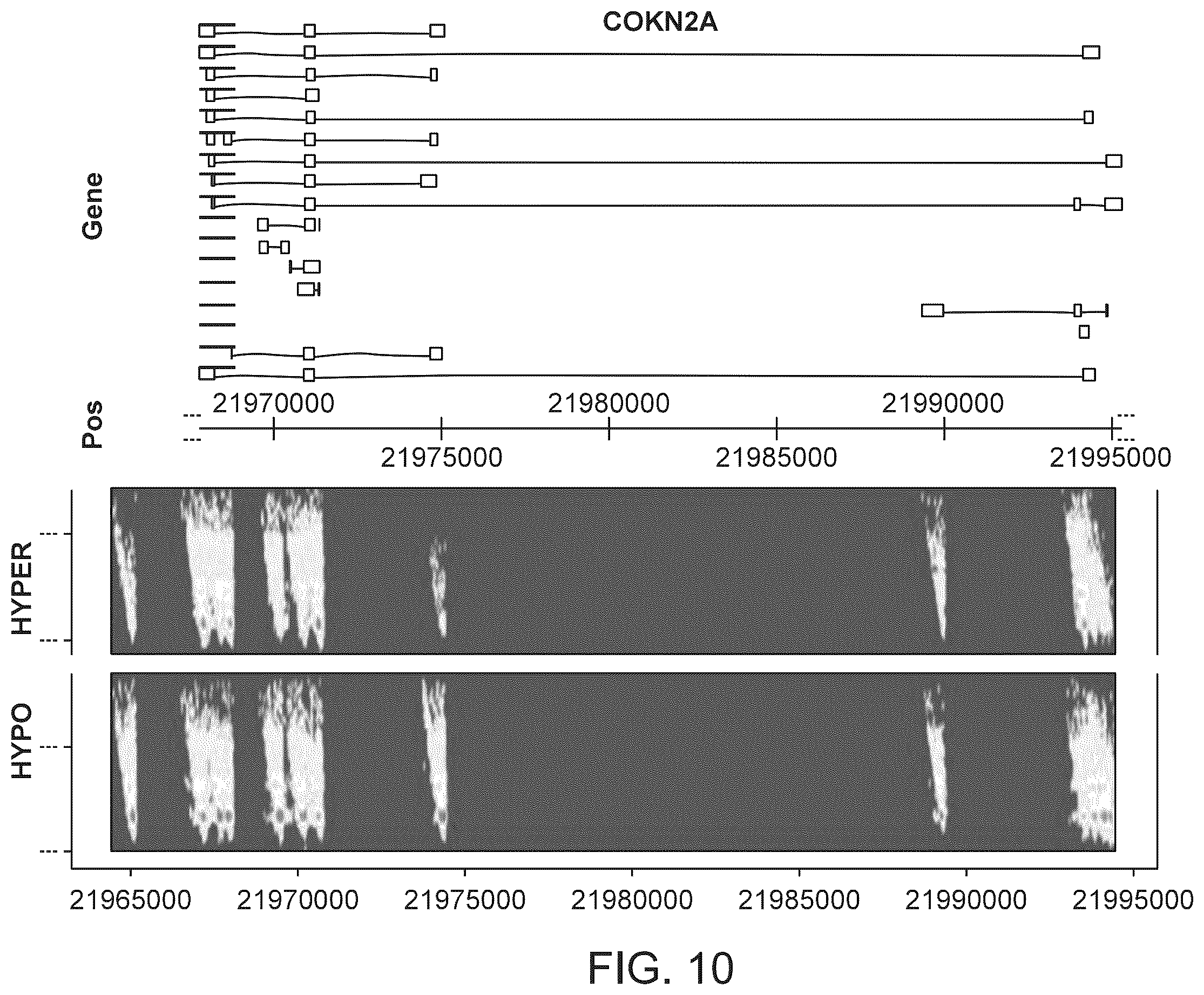 Patent US12359245 Figure 13 – Methods and systems for analyzing nucleic acid molecules