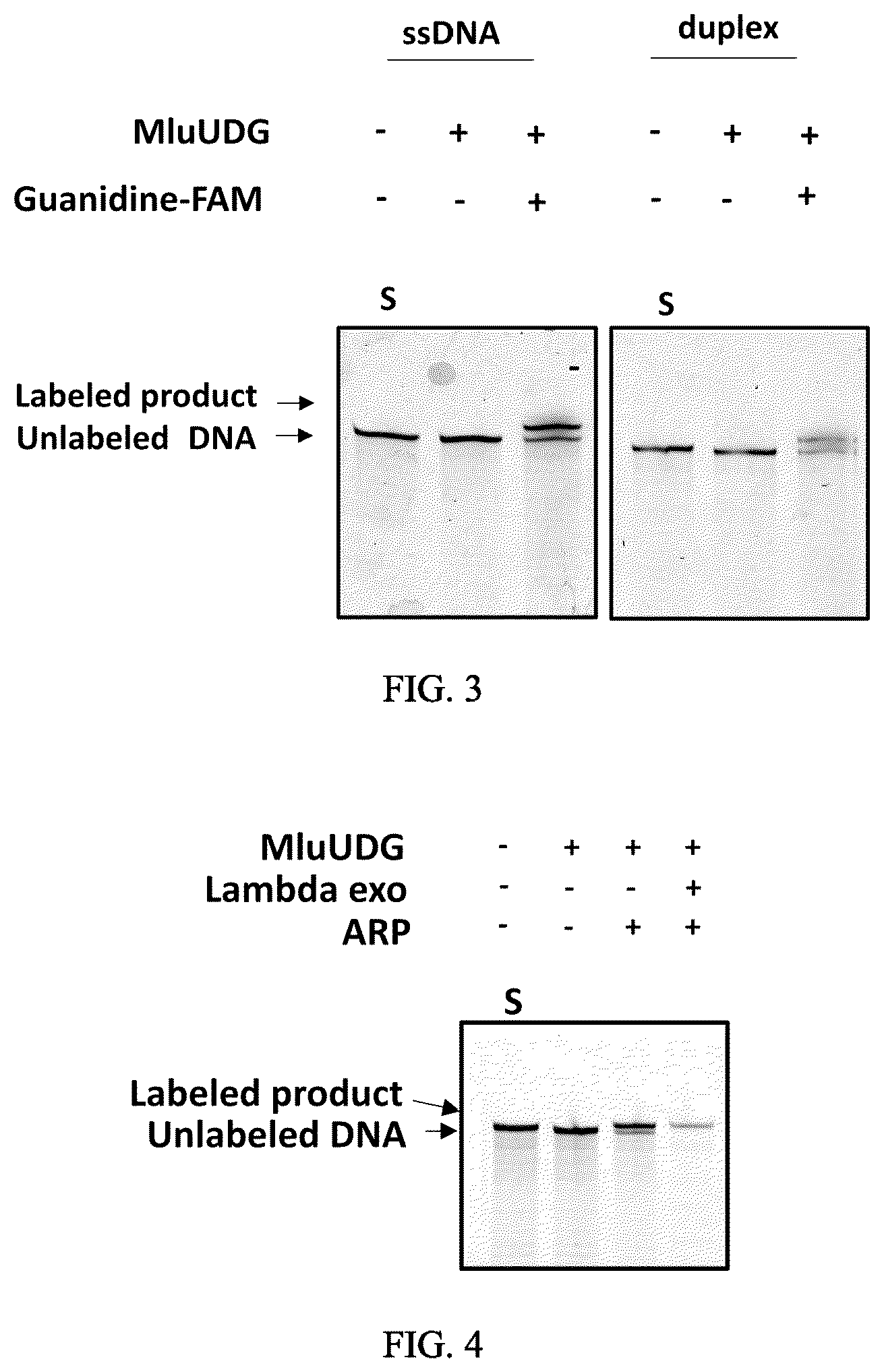 Patent US12359246 Figure 3 – Method, kit and system for end labeling of nucleic acids