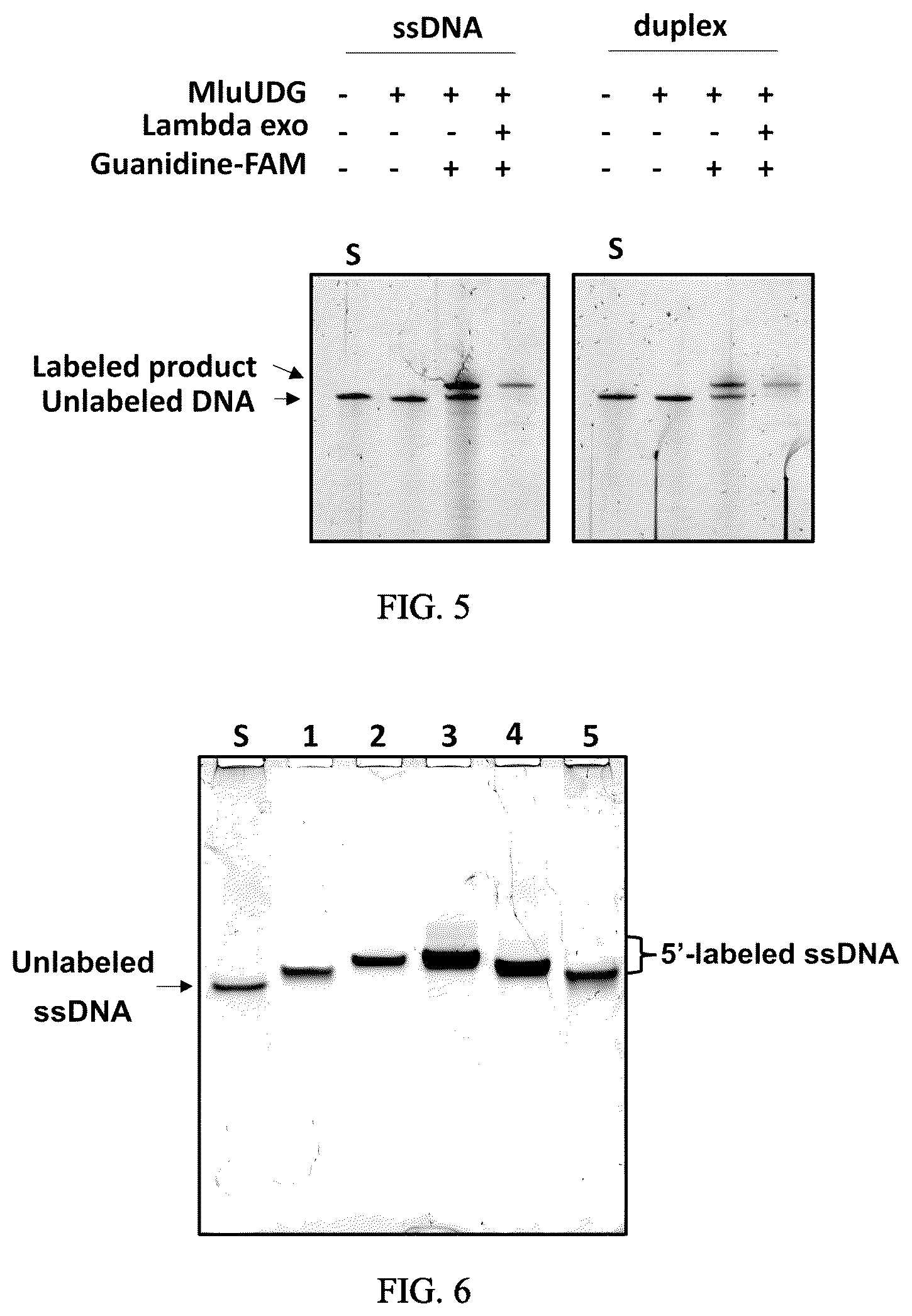 Patent US12359246 Figure 4 – Method, kit and system for end labeling of nucleic acids