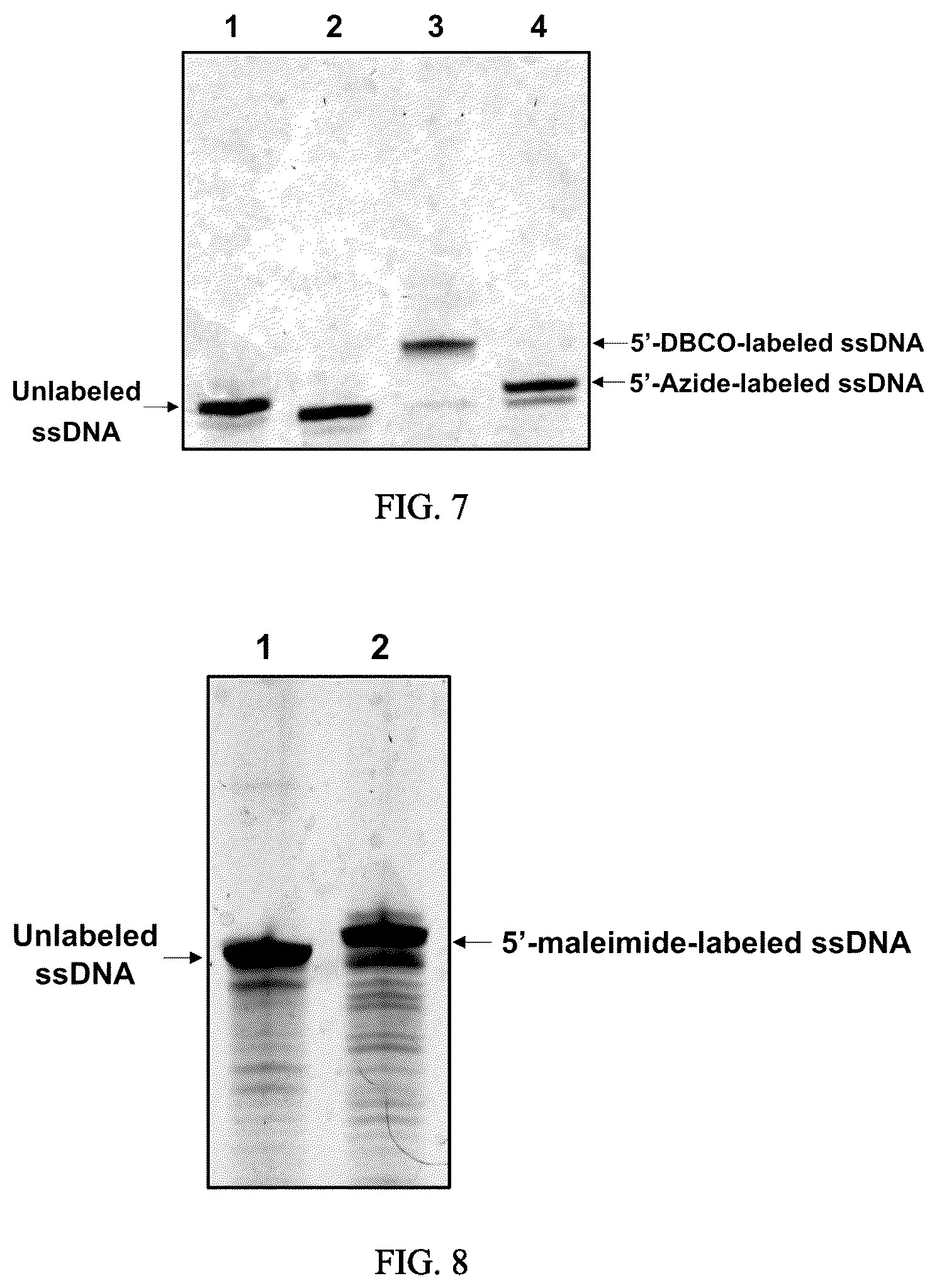 Patent US12359246 Figure 5 – Method, kit and system for end labeling of nucleic acids