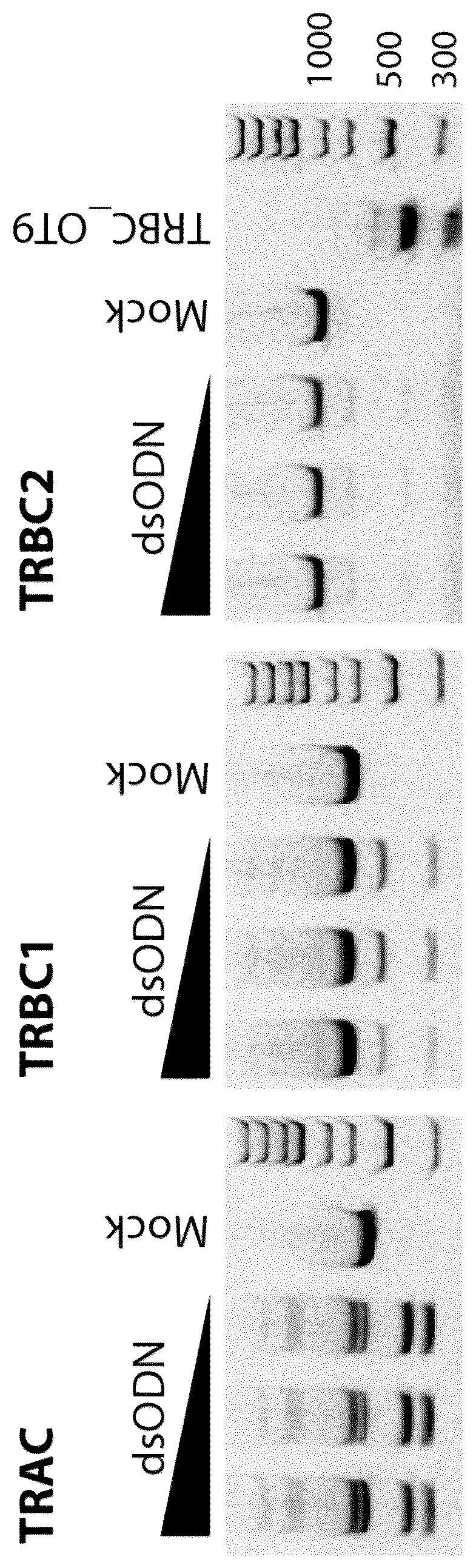 Patent US12359247 Figure 1 – Methods of performing GUIDE-Seq on primary human T cells
