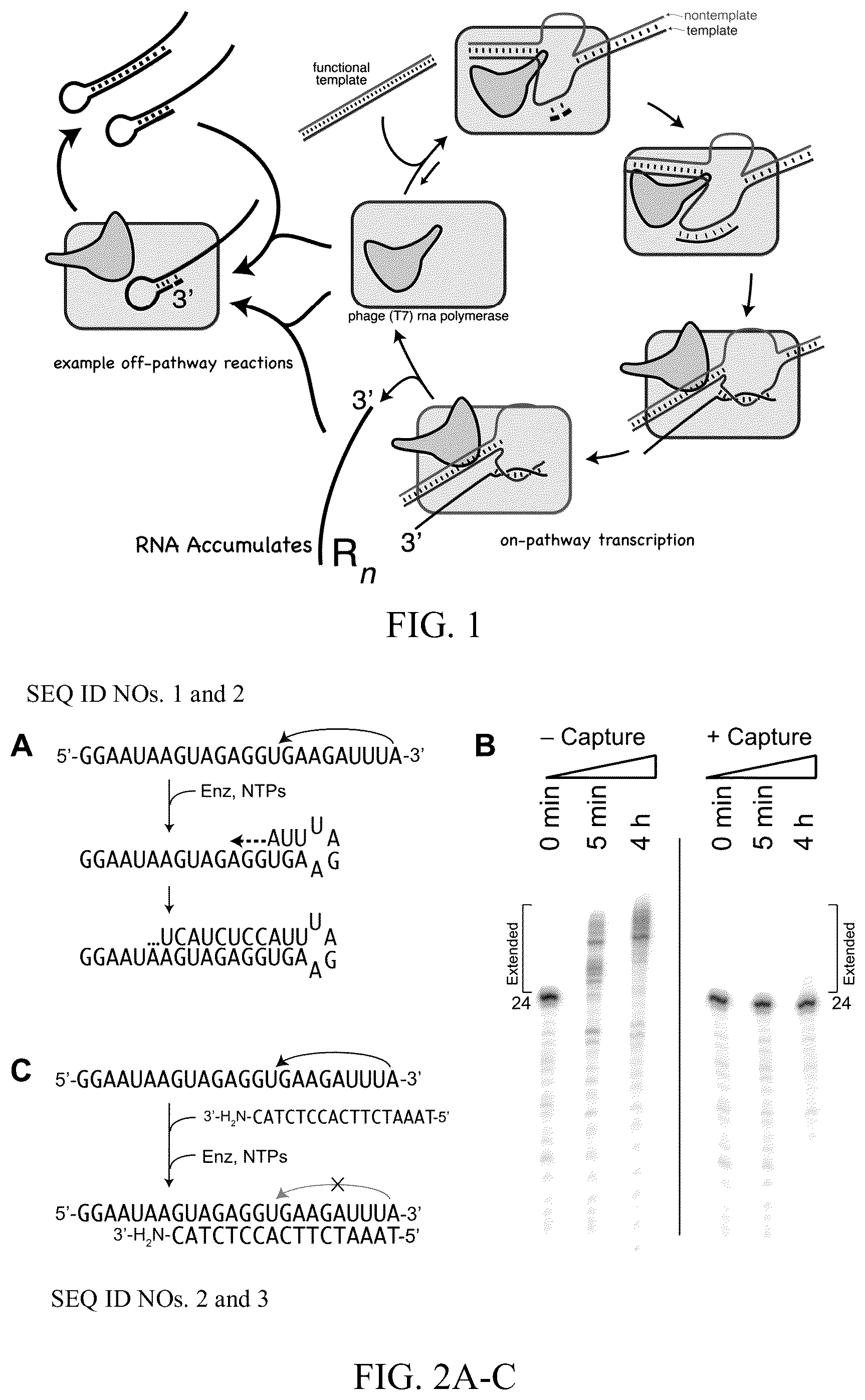 Patent US12359248 — Enzymatic methods to generate high yields of sequence specific RNAs with extreme precision — Figure 1