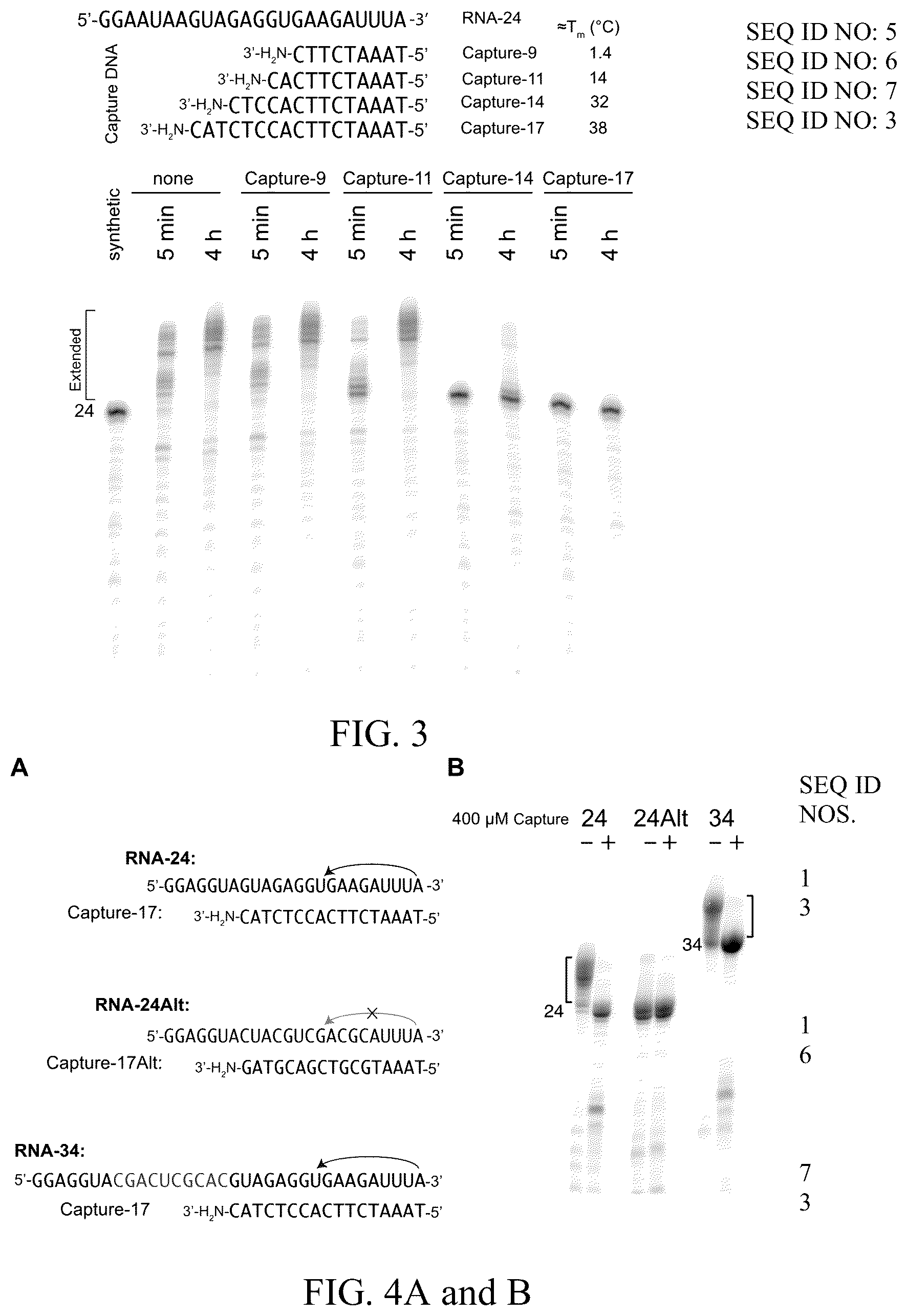 Patent US12359248 Figure 2 – Enzymatic methods to generate high yields of sequence specific RNAs with extreme precision
