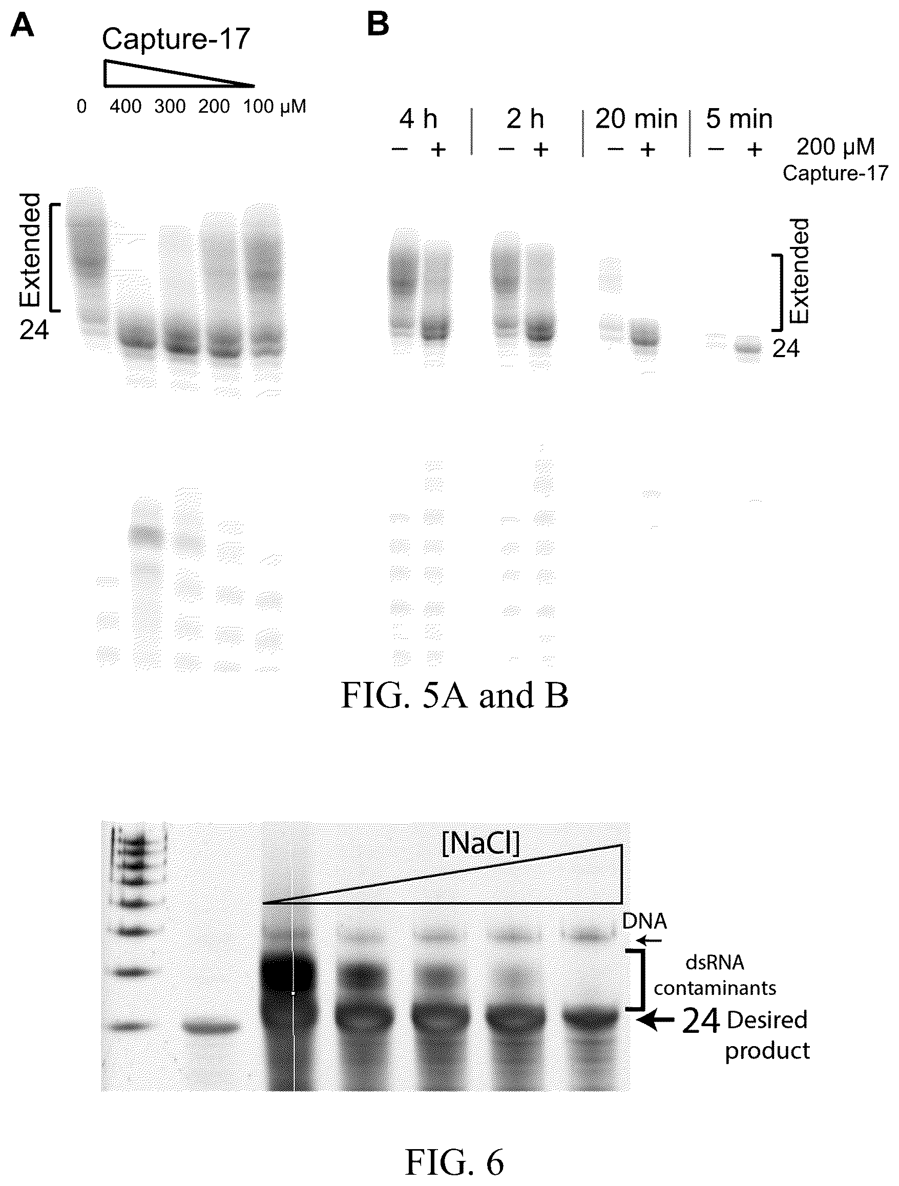 Patent US12359248 Figure 3 – Enzymatic methods to generate high yields of sequence specific RNAs with extreme precision