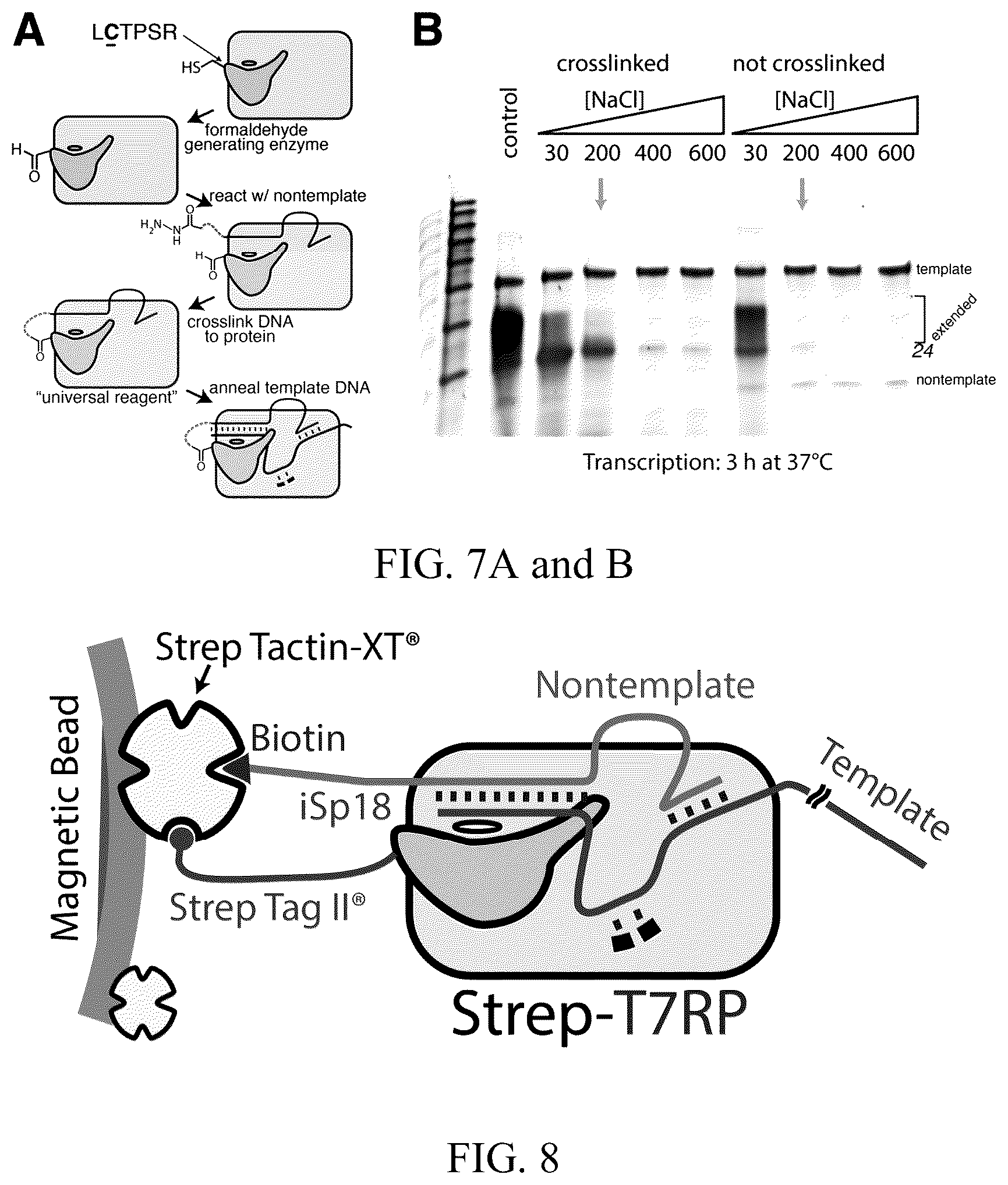 Patent US12359248 Figure 4 – Enzymatic methods to generate high yields of sequence specific RNAs with extreme precision