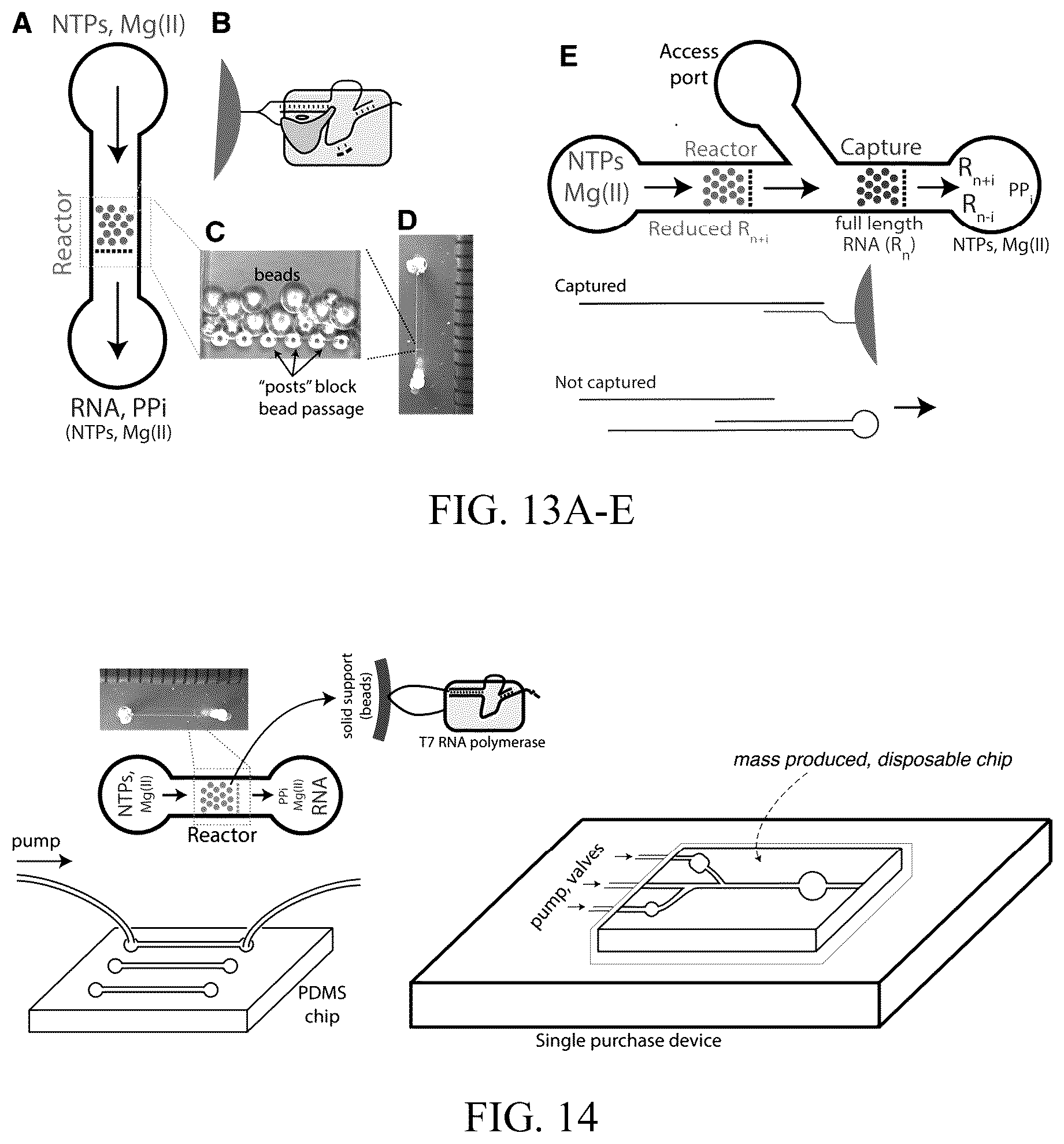 Patent US12359248 Figure 7 – Enzymatic methods to generate high yields of sequence specific RNAs with extreme precision