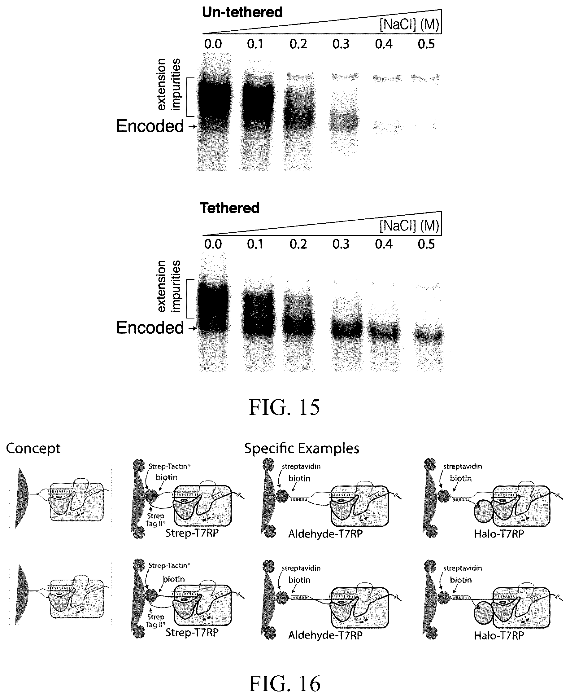 Patent US12359248 Figure 8 – Enzymatic methods to generate high yields of sequence specific RNAs with extreme precision