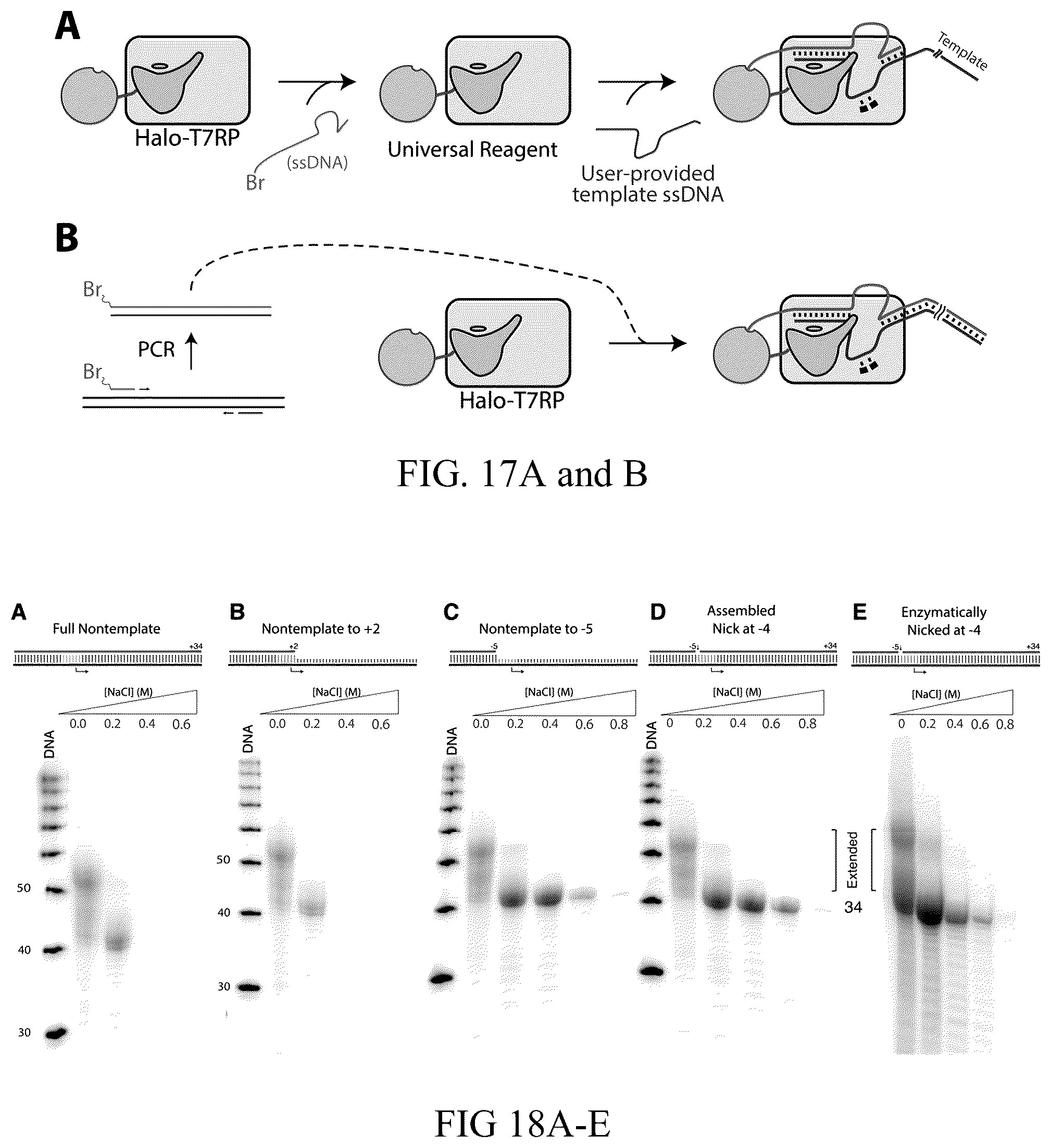 Patent US12359248 Figure 9 – Enzymatic methods to generate high yields of sequence specific RNAs with extreme precision