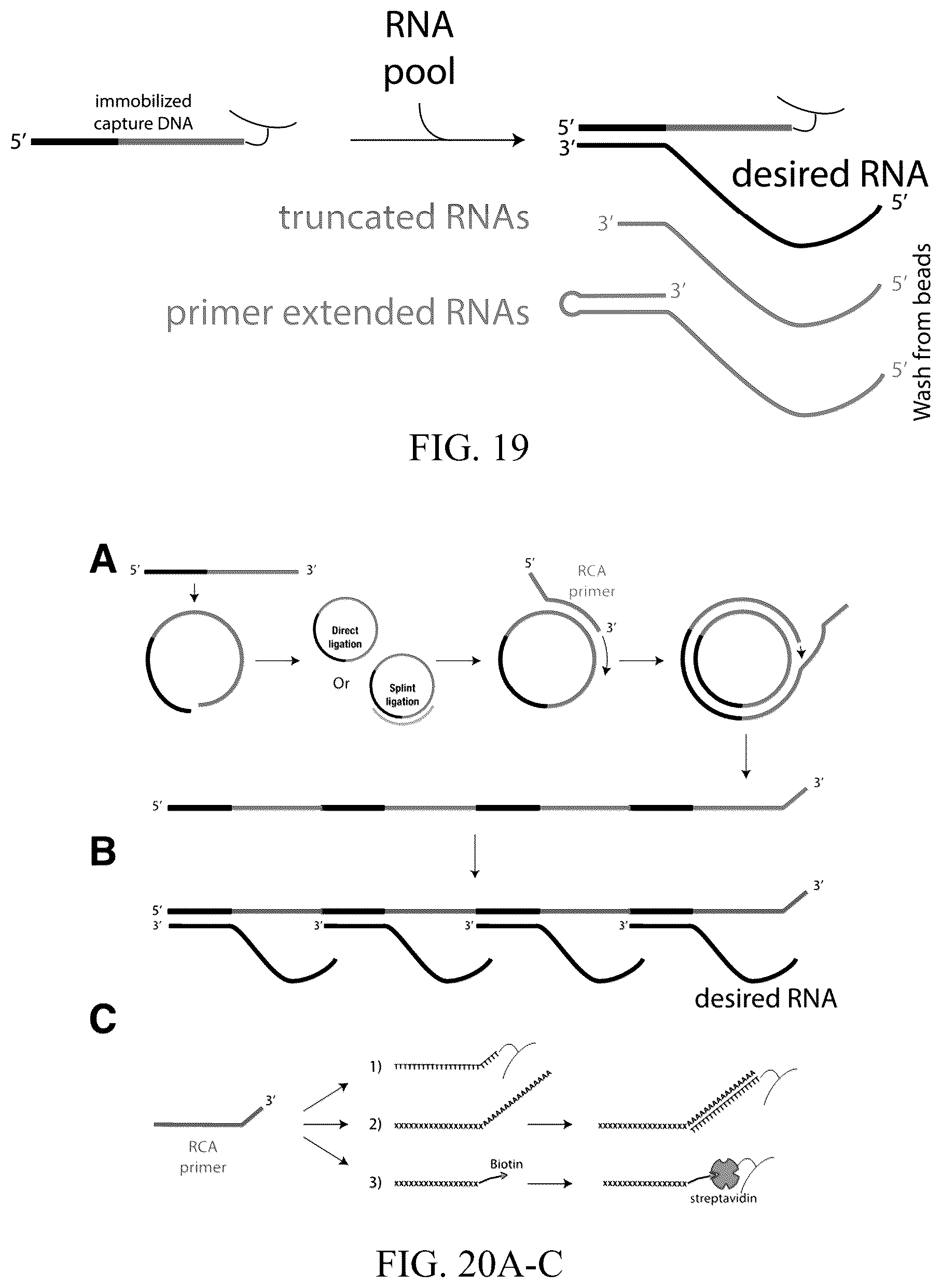 Patent US12359248 Figure 10 – Enzymatic methods to generate high yields of sequence specific RNAs with extreme precision