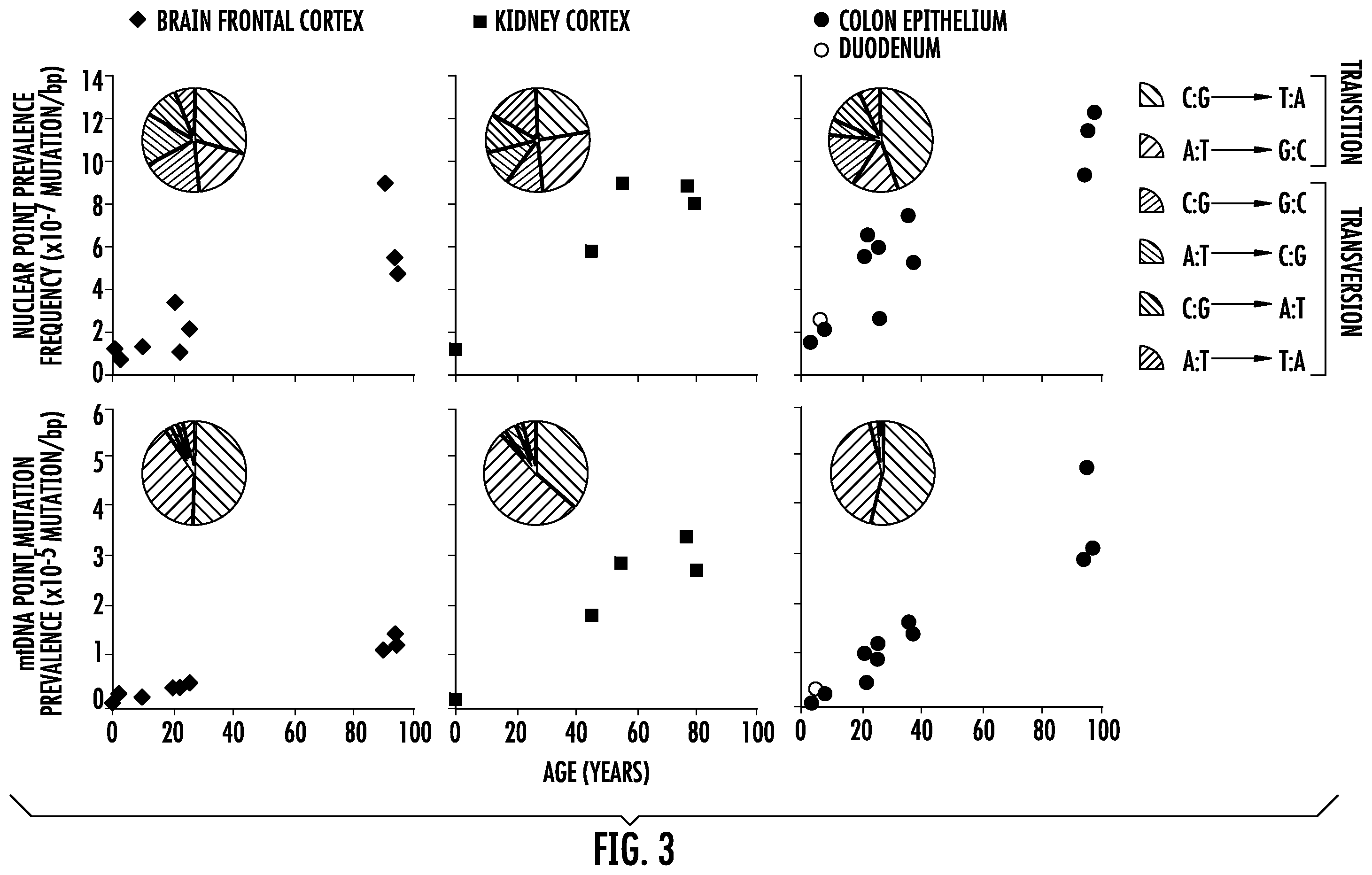 Patent US12359250 Figure 4 – Bottleneck sequencing