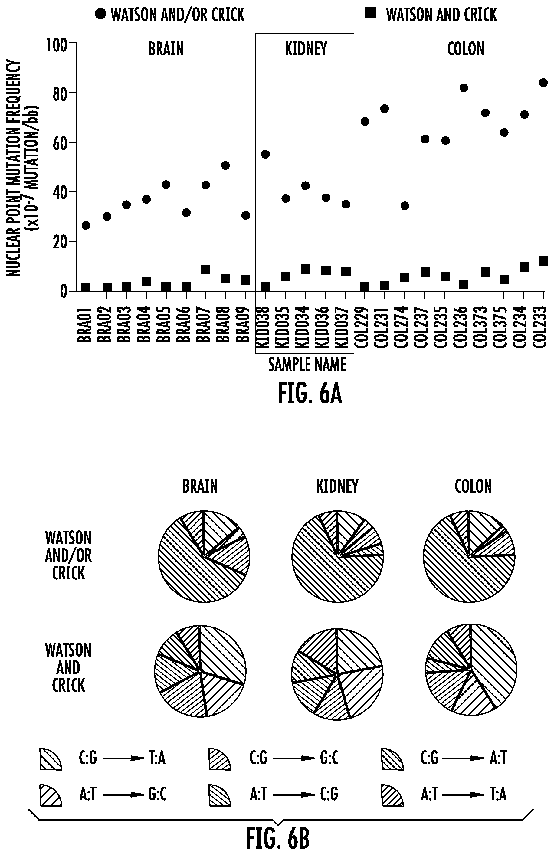 Patent US12359250 Figure 8 – Bottleneck sequencing