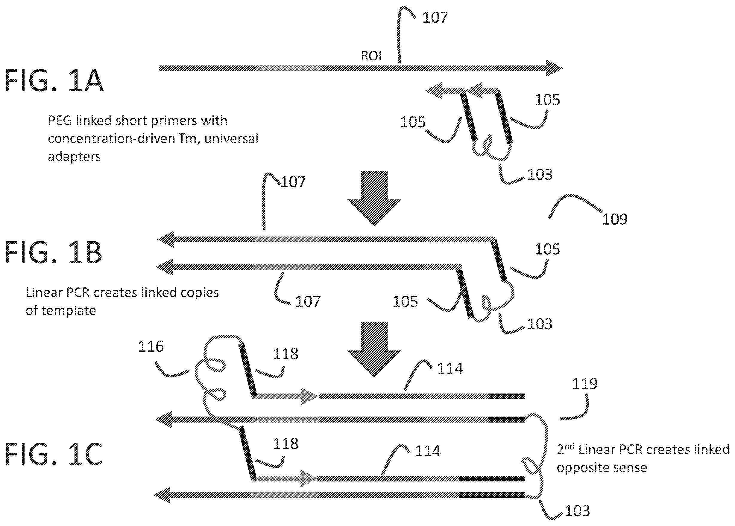 Patent US12359251 Figure 1 – Linked target capture
