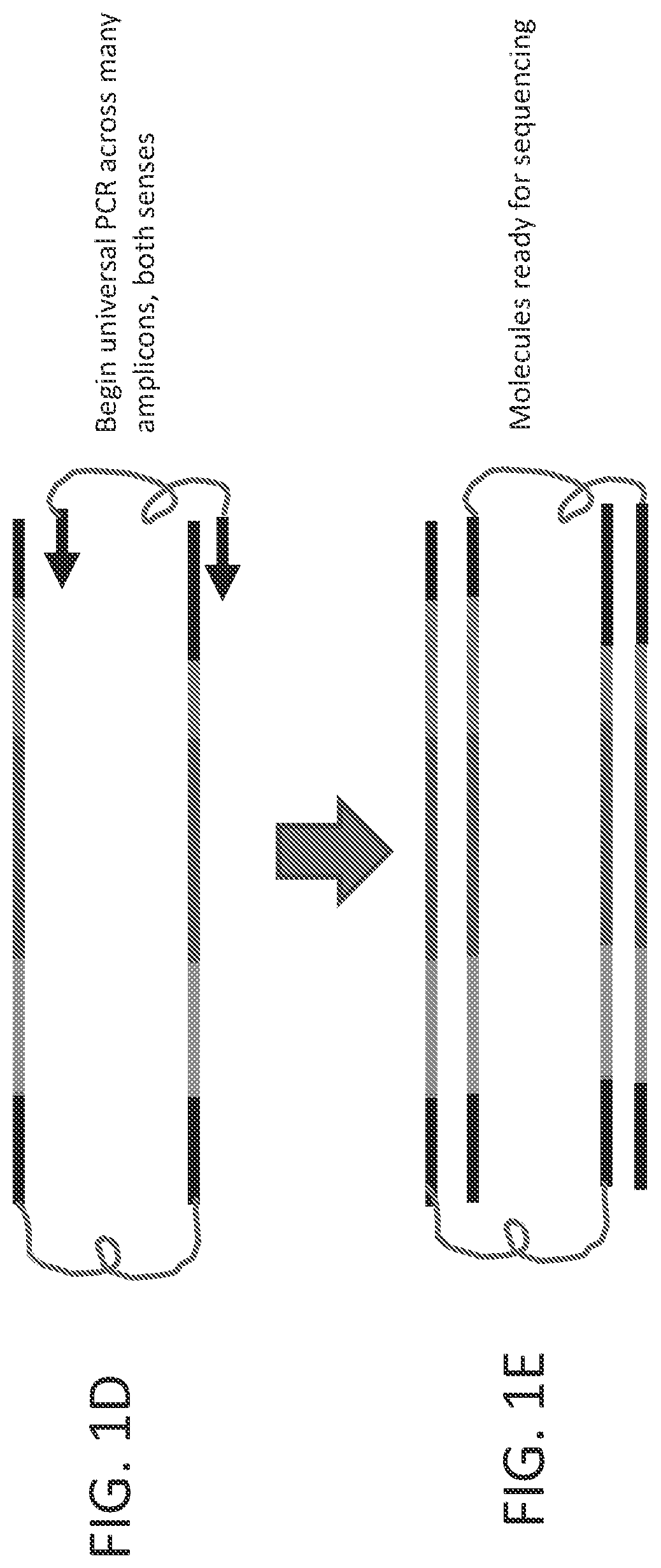 Patent US12359251 Figure 2 – Linked target capture
