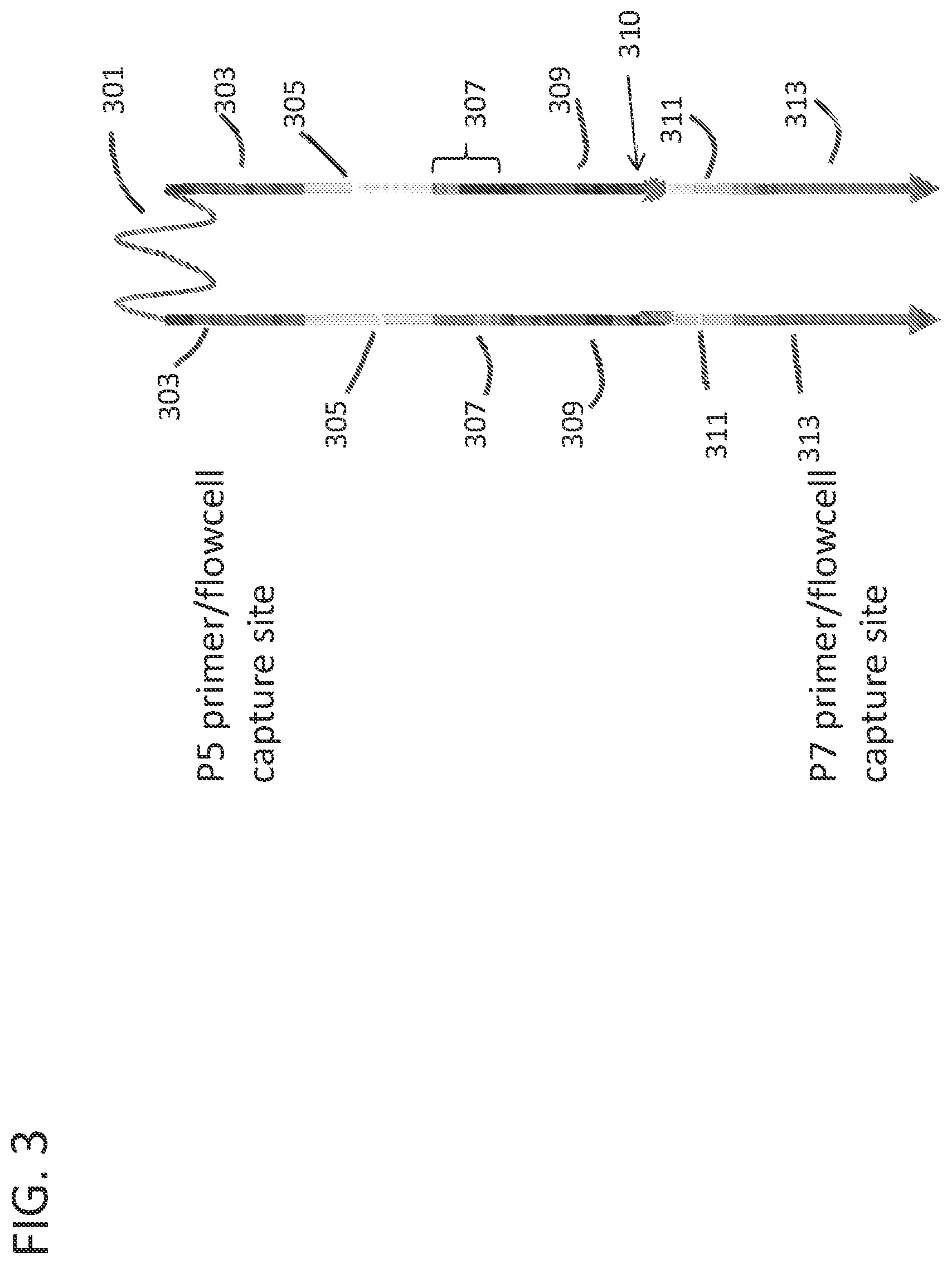 Patent US12359251 Figure 4 – Linked target capture