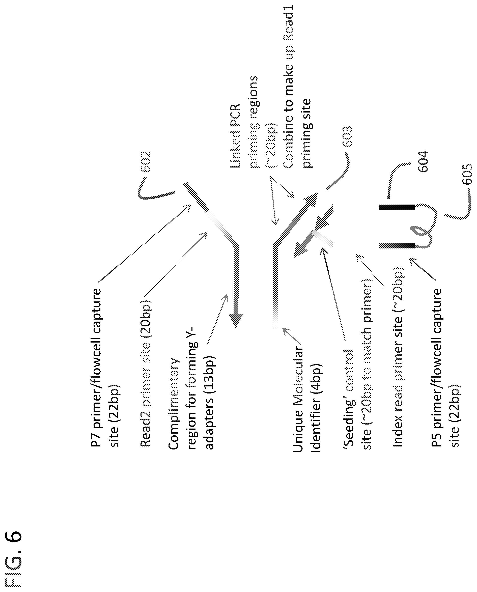 Patent US12359251 Figure 9 – Linked target capture