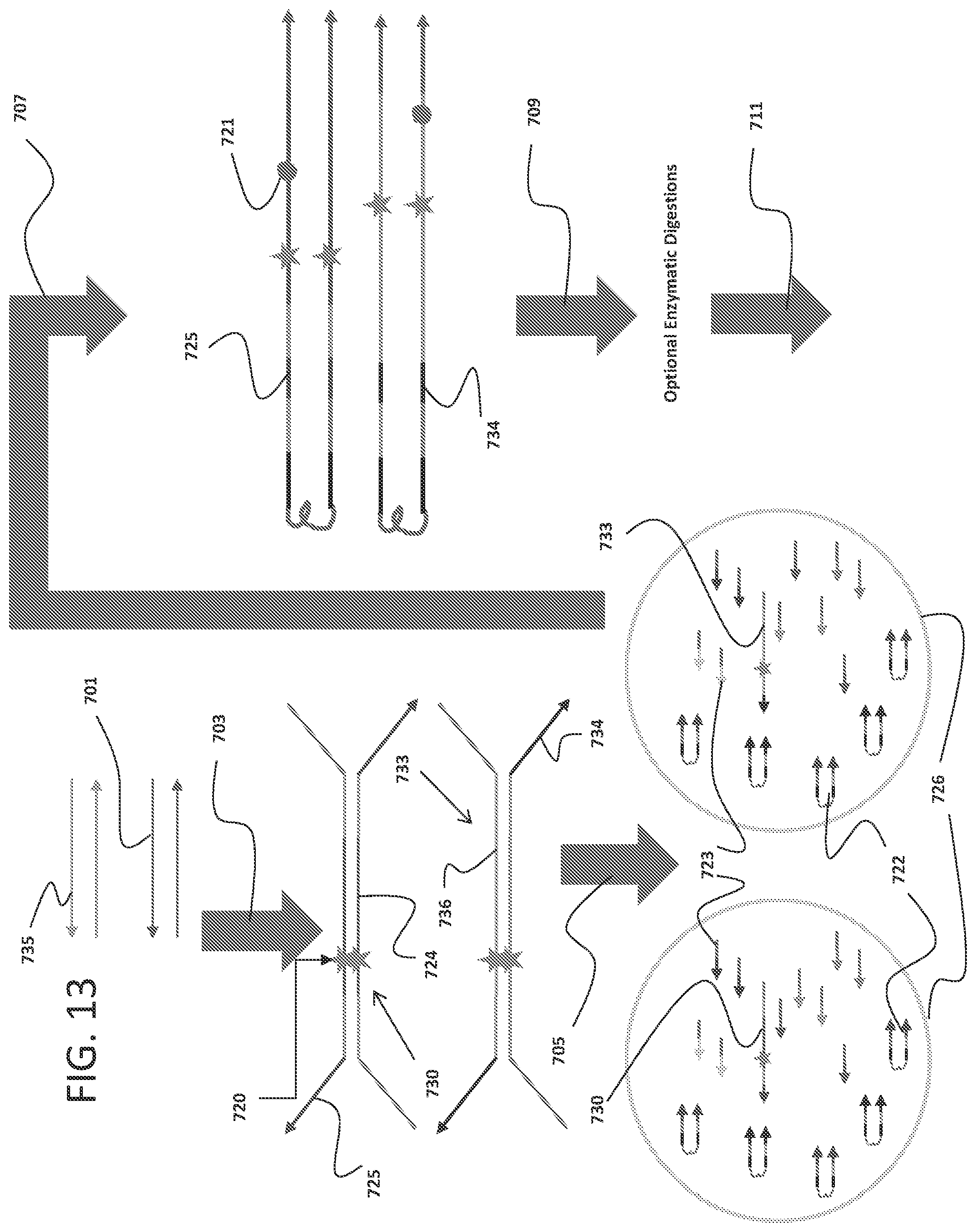Patent US12359251 Figure 16 – Linked target capture