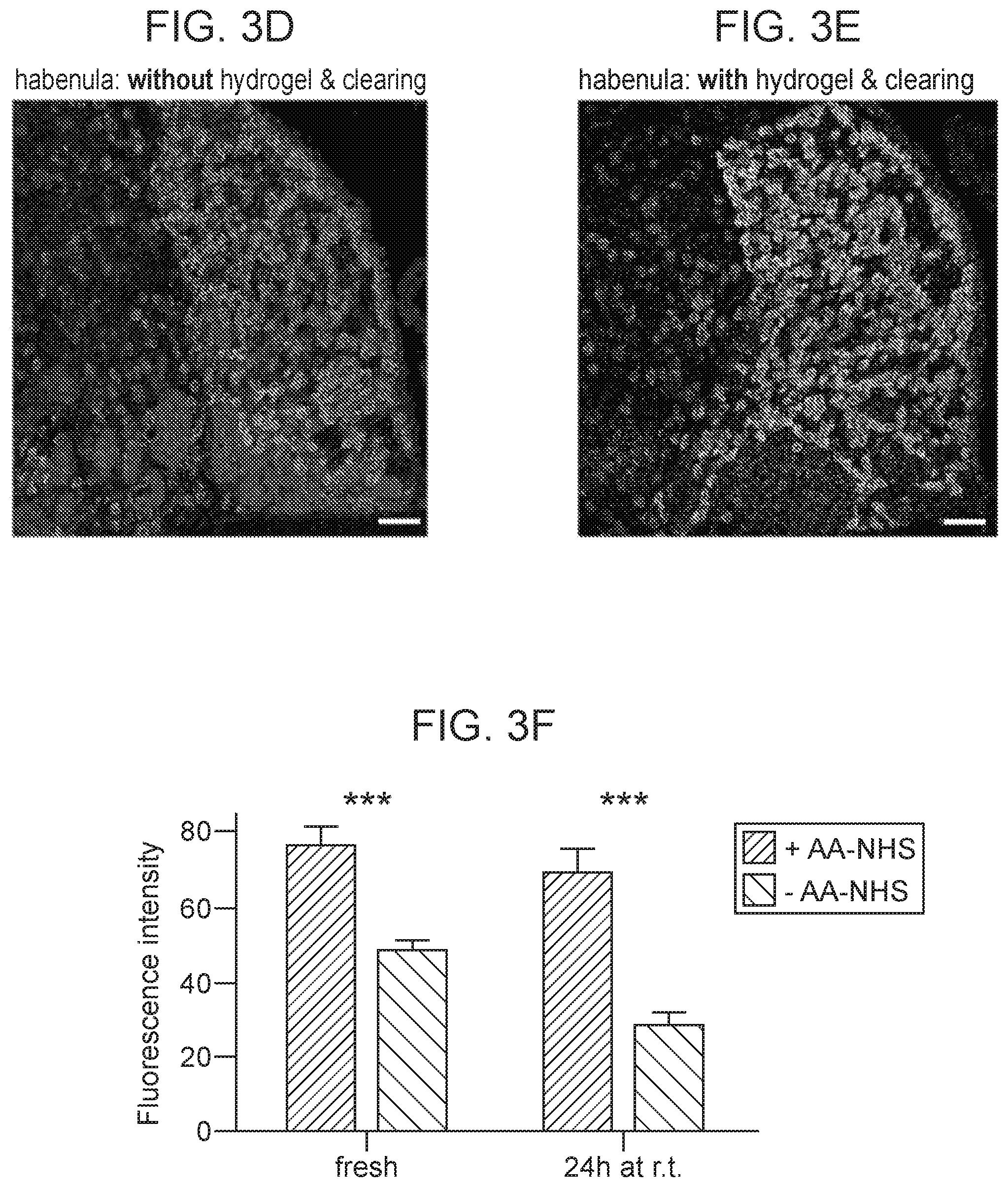 Patent US12359253 Figure 8 – Method of in situ gene sequencing