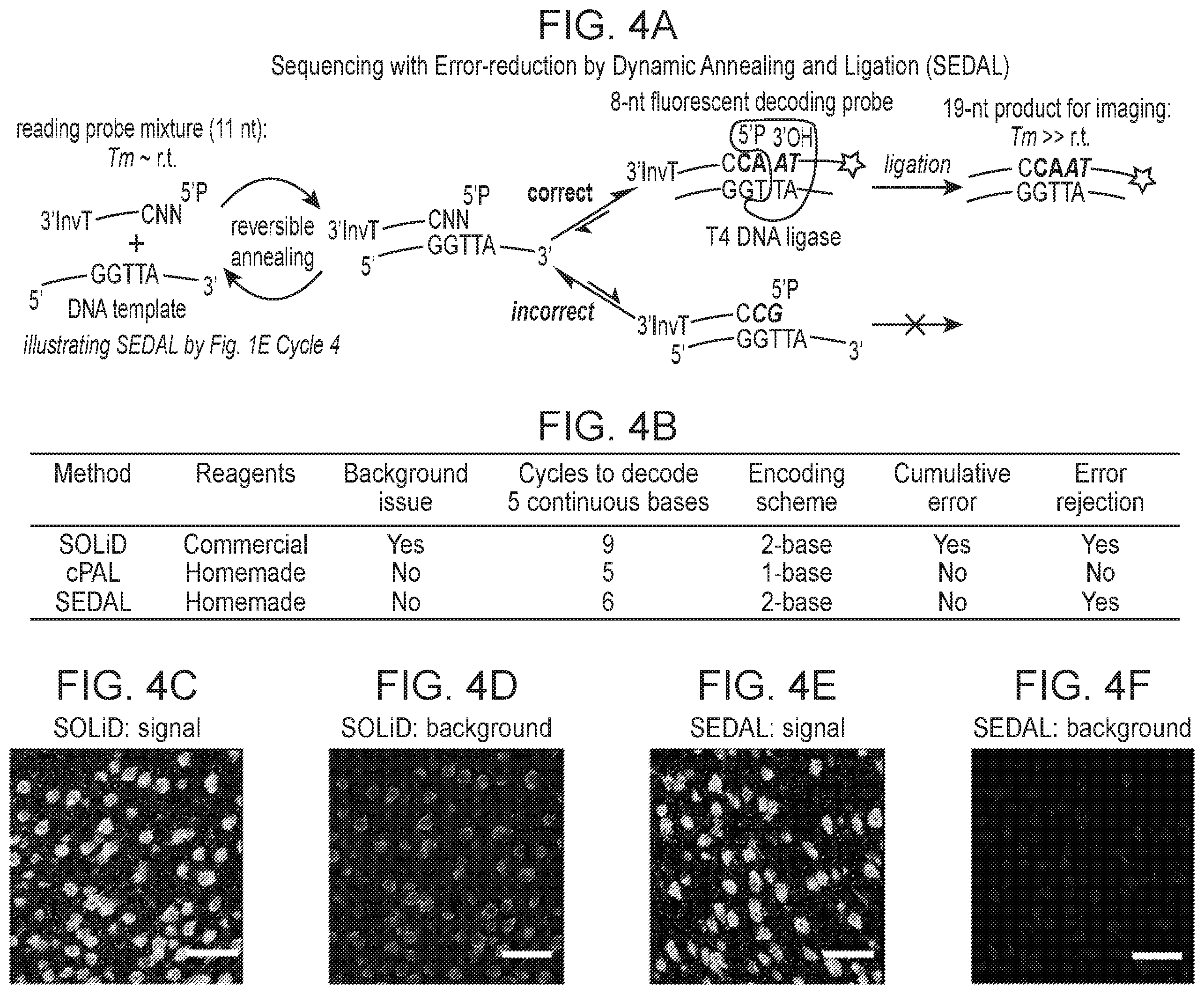 Patent US12359253 Figure 10 – Method of in situ gene sequencing