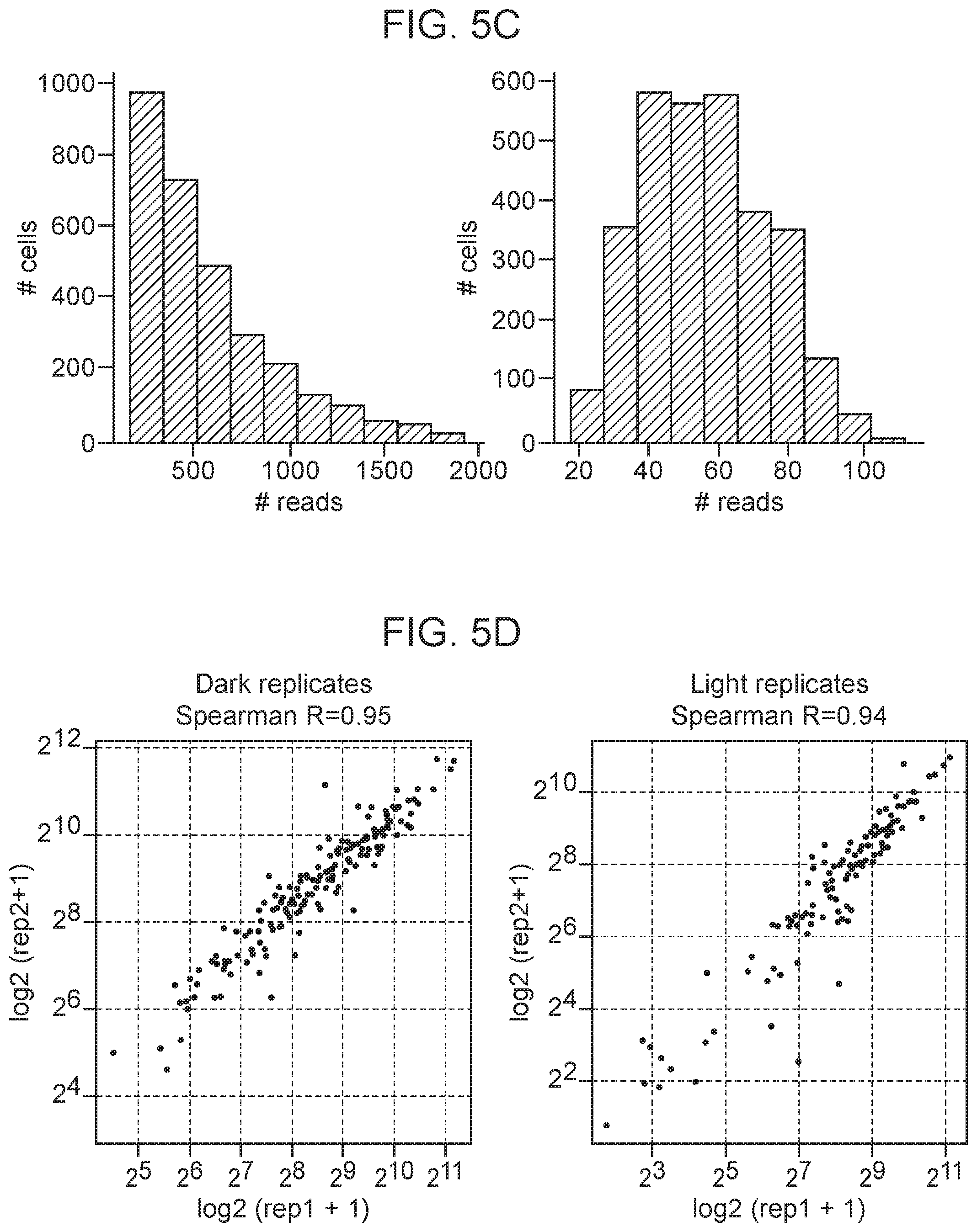 Patent US12359253 Figure 15 – Method of in situ gene sequencing