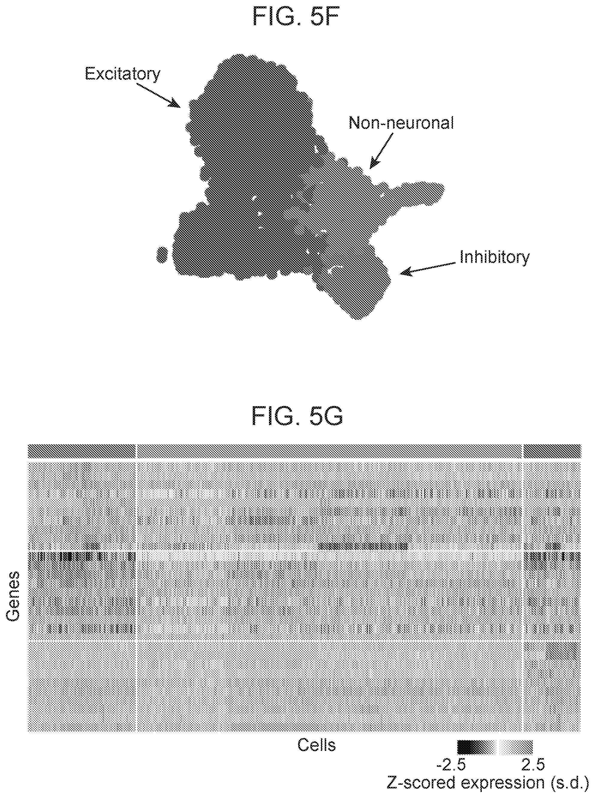 Patent US12359253 Figure 17 – Method of in situ gene sequencing