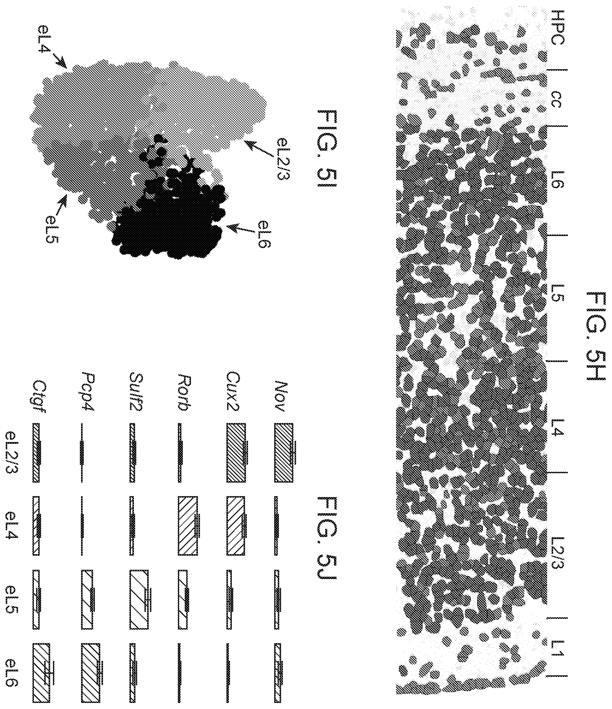 Patent US12359253 Figure 18 – Method of in situ gene sequencing