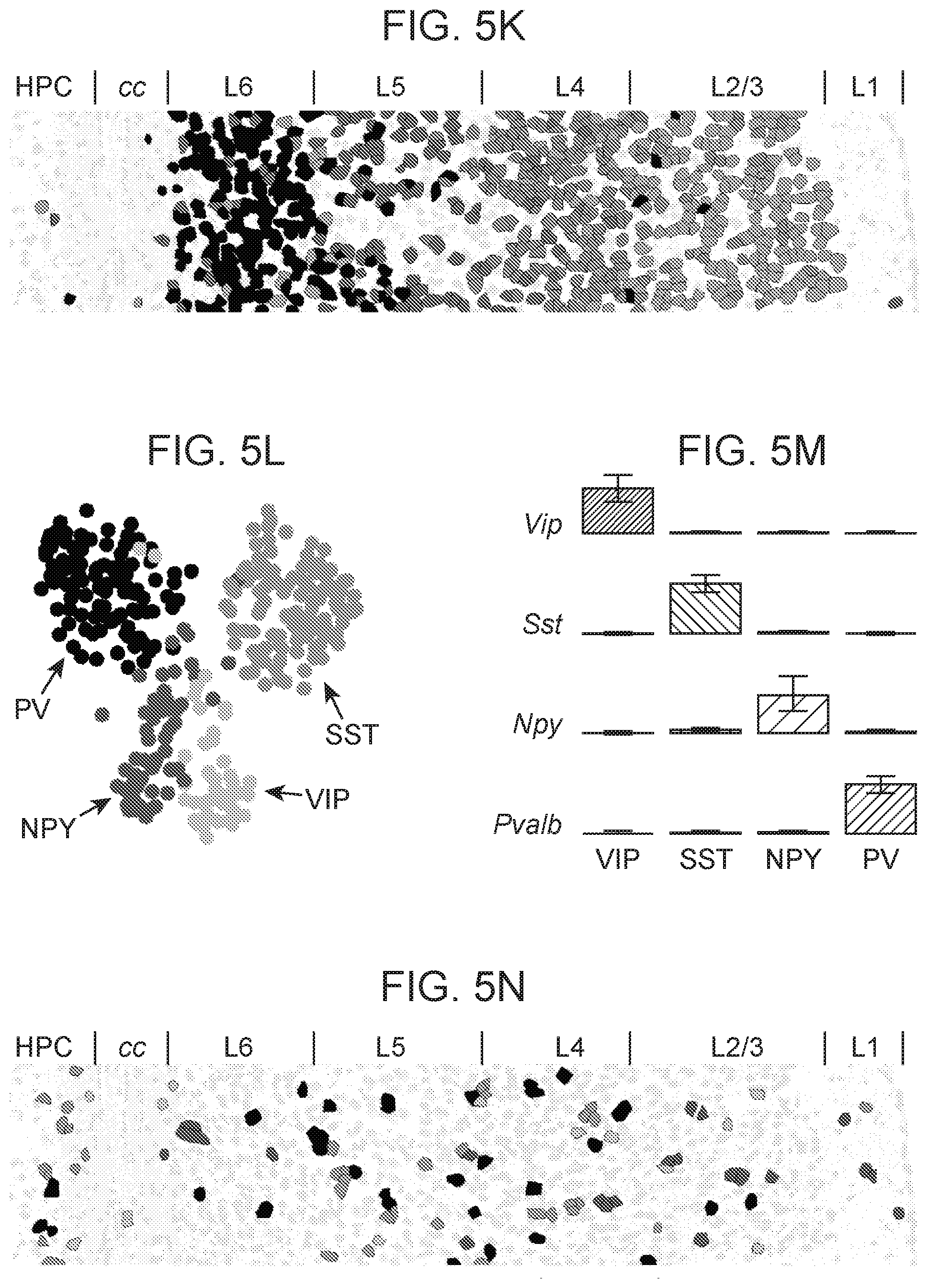 Patent US12359253 Figure 19 – Method of in situ gene sequencing