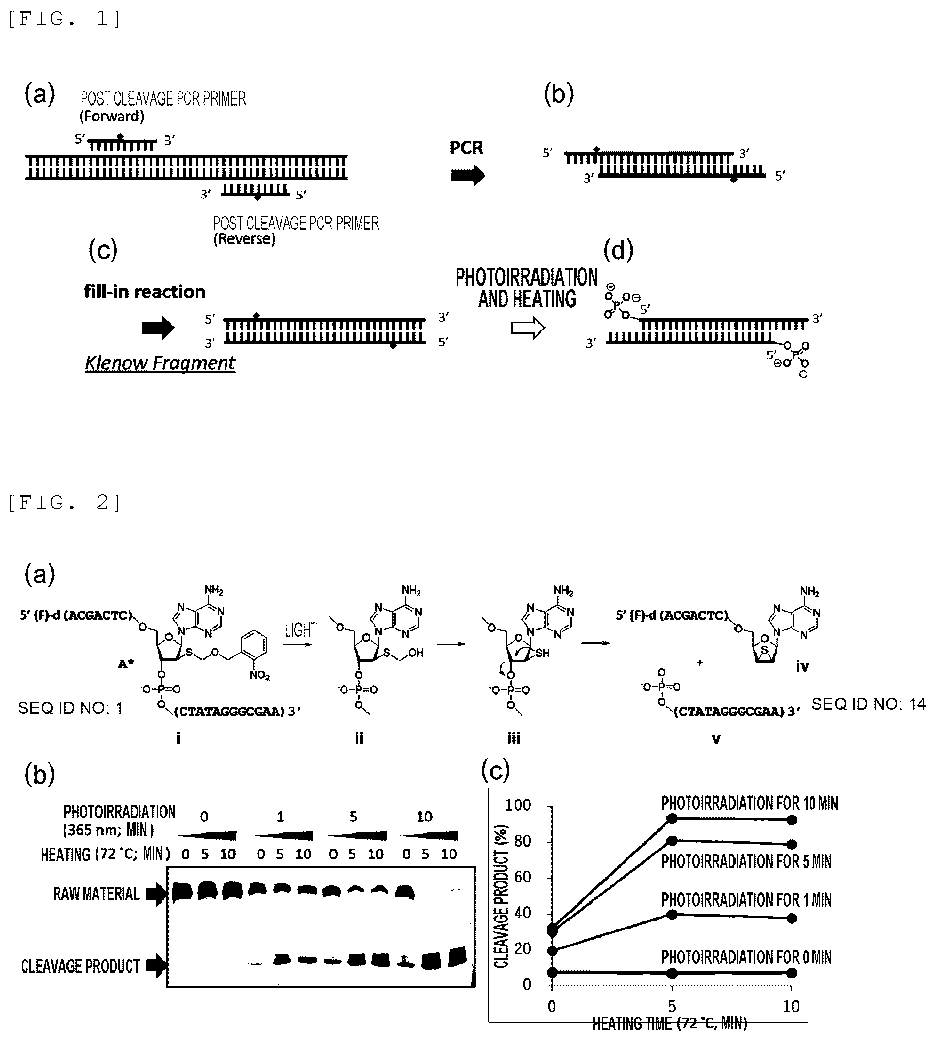 Patent US12359254 Figure 1 – Primer, device for producing double-stranded DNA using primer, and method for producing double-stranded DNA using primer