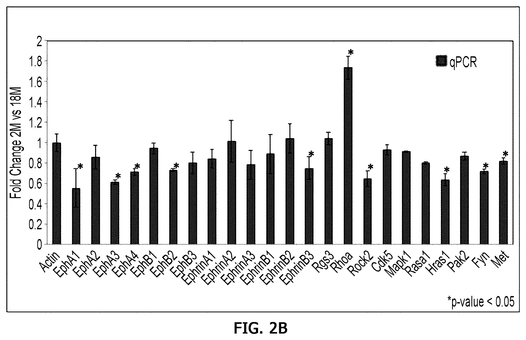 Patent US12359255 Figure 5 – Method for determining decrease in functions of hippocampus by using correlation between micro RNA and NMDA receptor, method for inhibiting decrease in functions, and method for screening for inhibitors of decrease in functions
