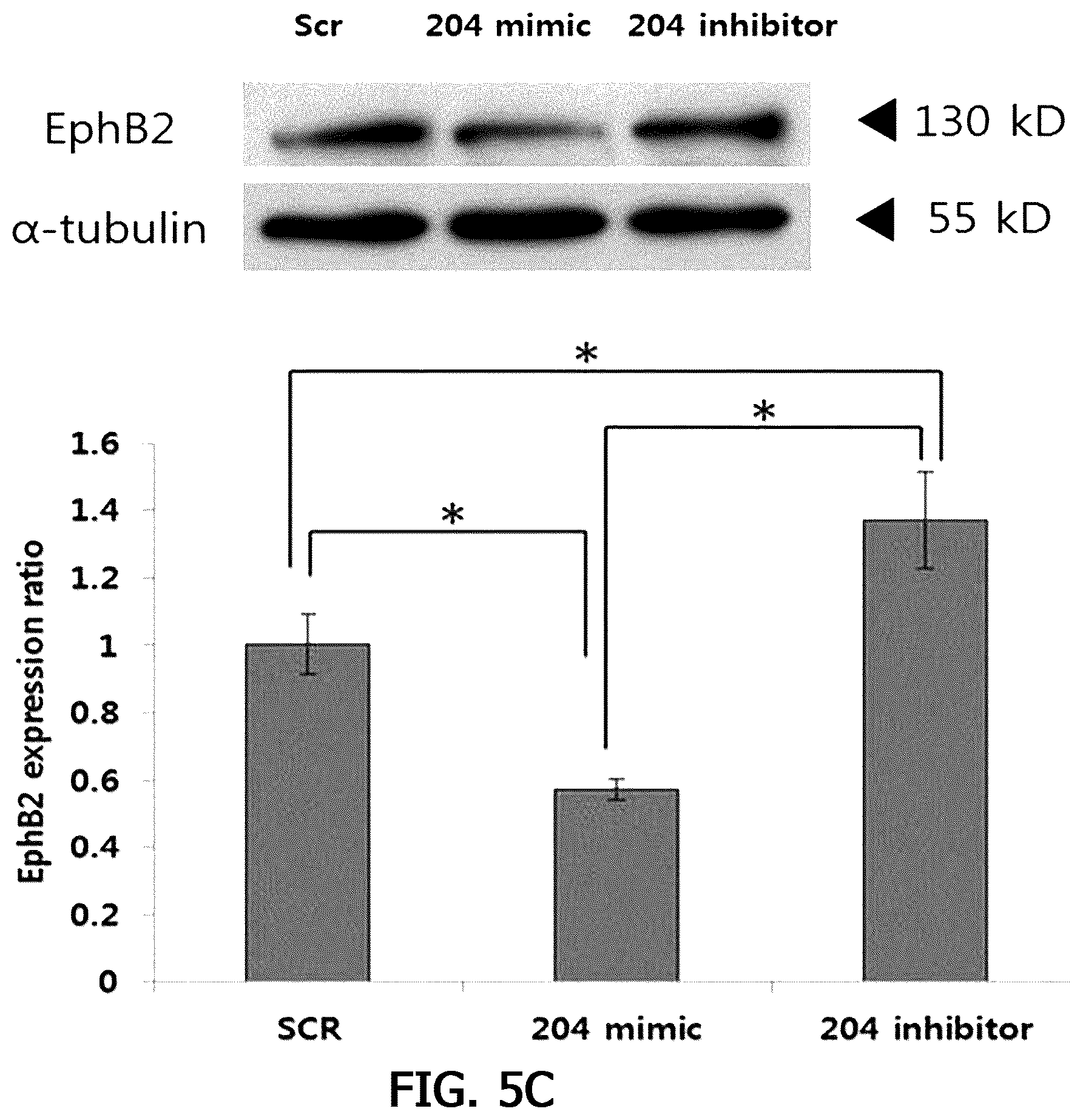 Patent US12359255 Figure 12 – Method for determining decrease in functions of hippocampus by using correlation between micro RNA and NMDA receptor, method for inhibiting decrease in functions, and method for screening for inhibitors of decrease in functions