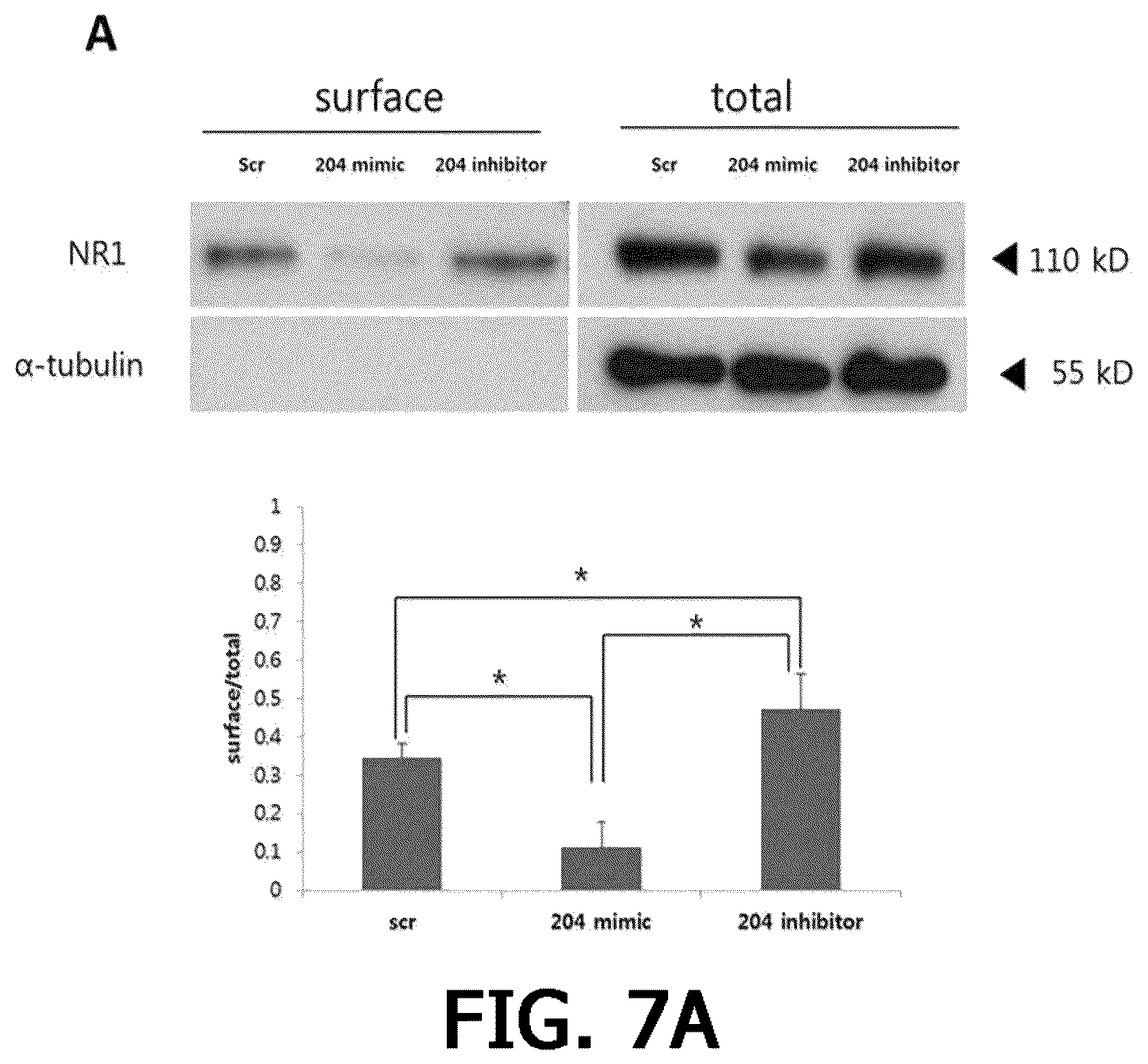Patent US12359255 Figure 14 – Method for determining decrease in functions of hippocampus by using correlation between micro RNA and NMDA receptor, method for inhibiting decrease in functions, and method for screening for inhibitors of decrease in functions