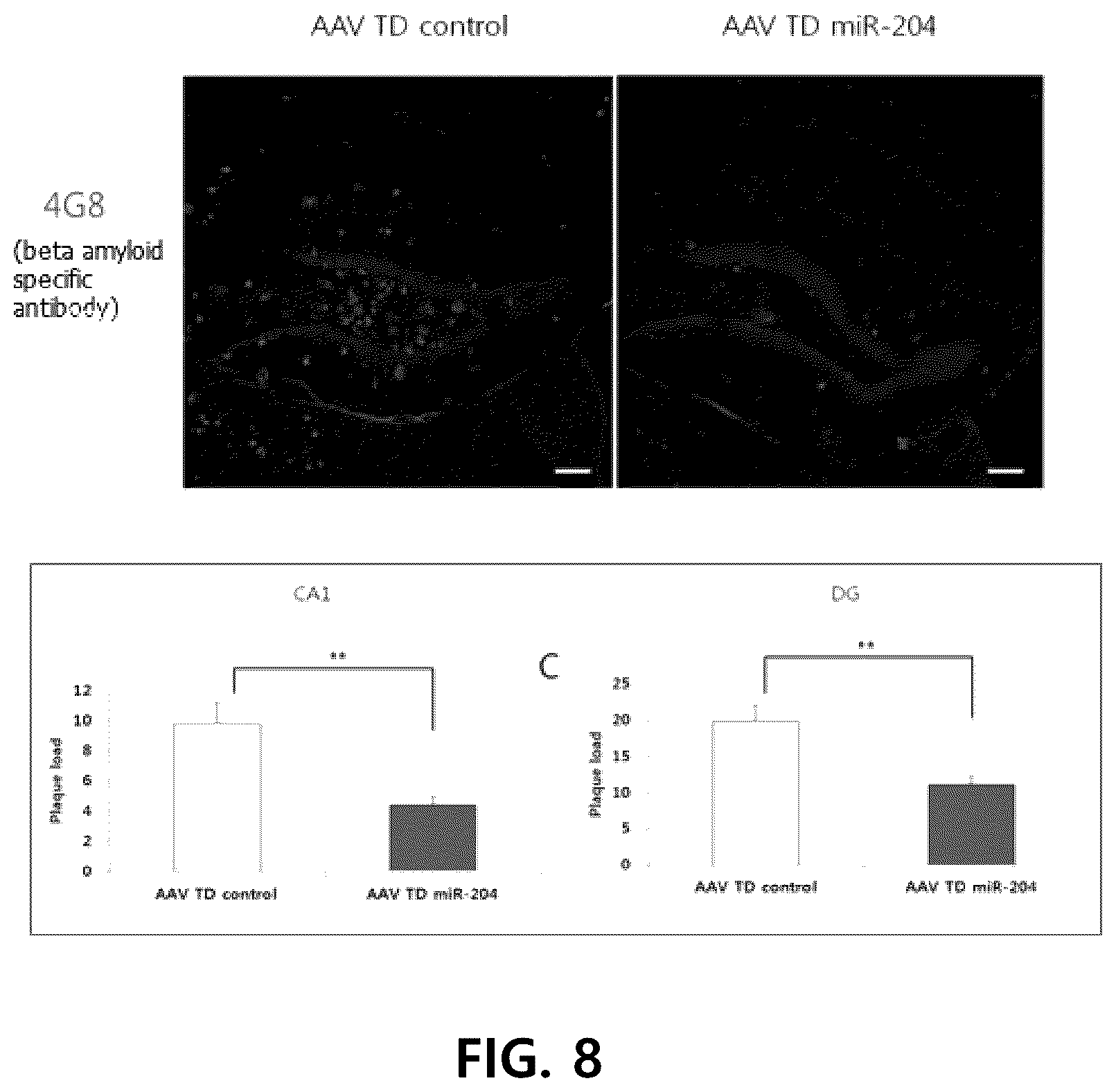Patent US12359255 Figure 16 – Method for determining decrease in functions of hippocampus by using correlation between micro RNA and NMDA receptor, method for inhibiting decrease in functions, and method for screening for inhibitors of decrease in functions