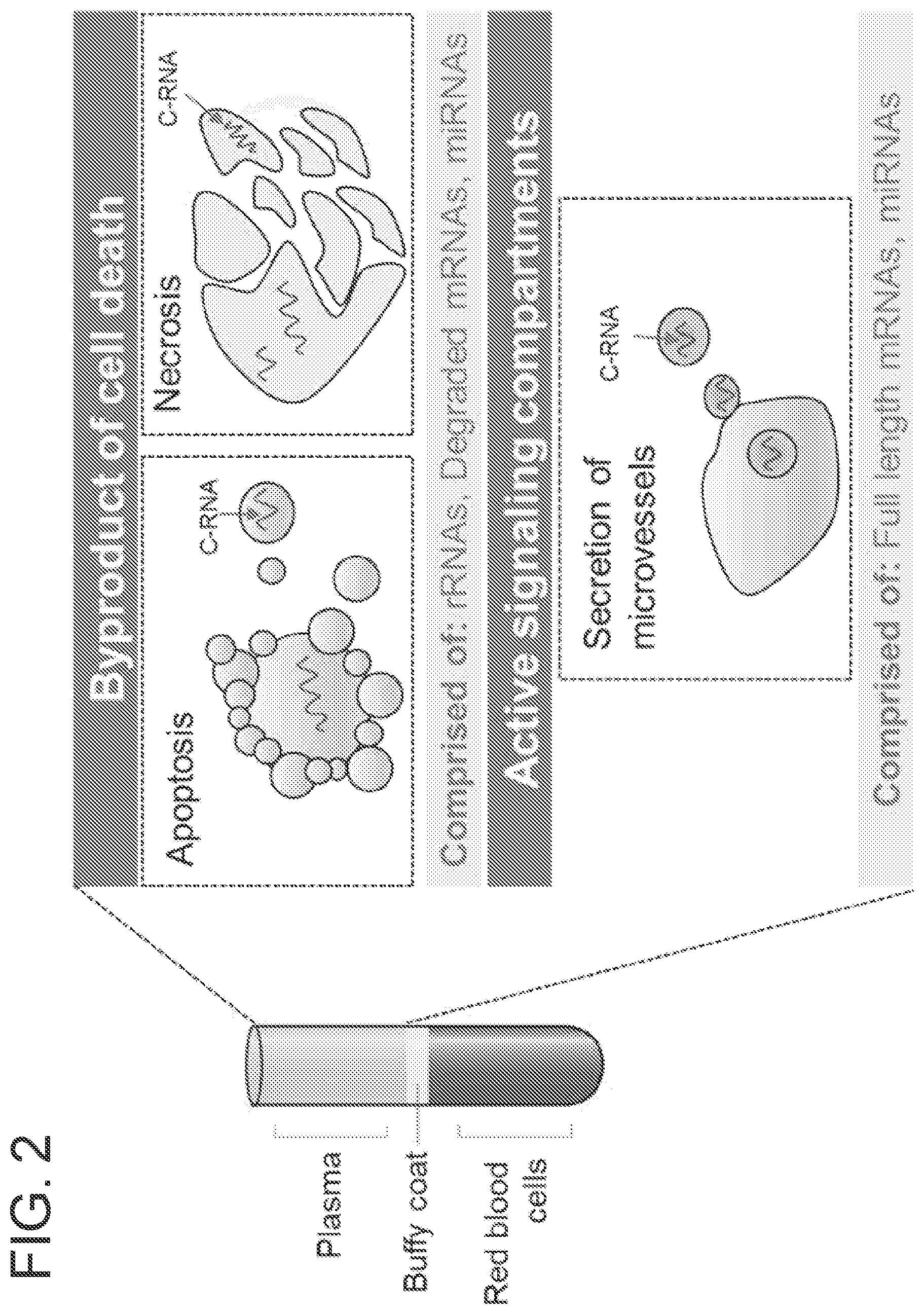 Patent US12359256 Figure 2 – Circulating RNA signatures specific to preeclampsia