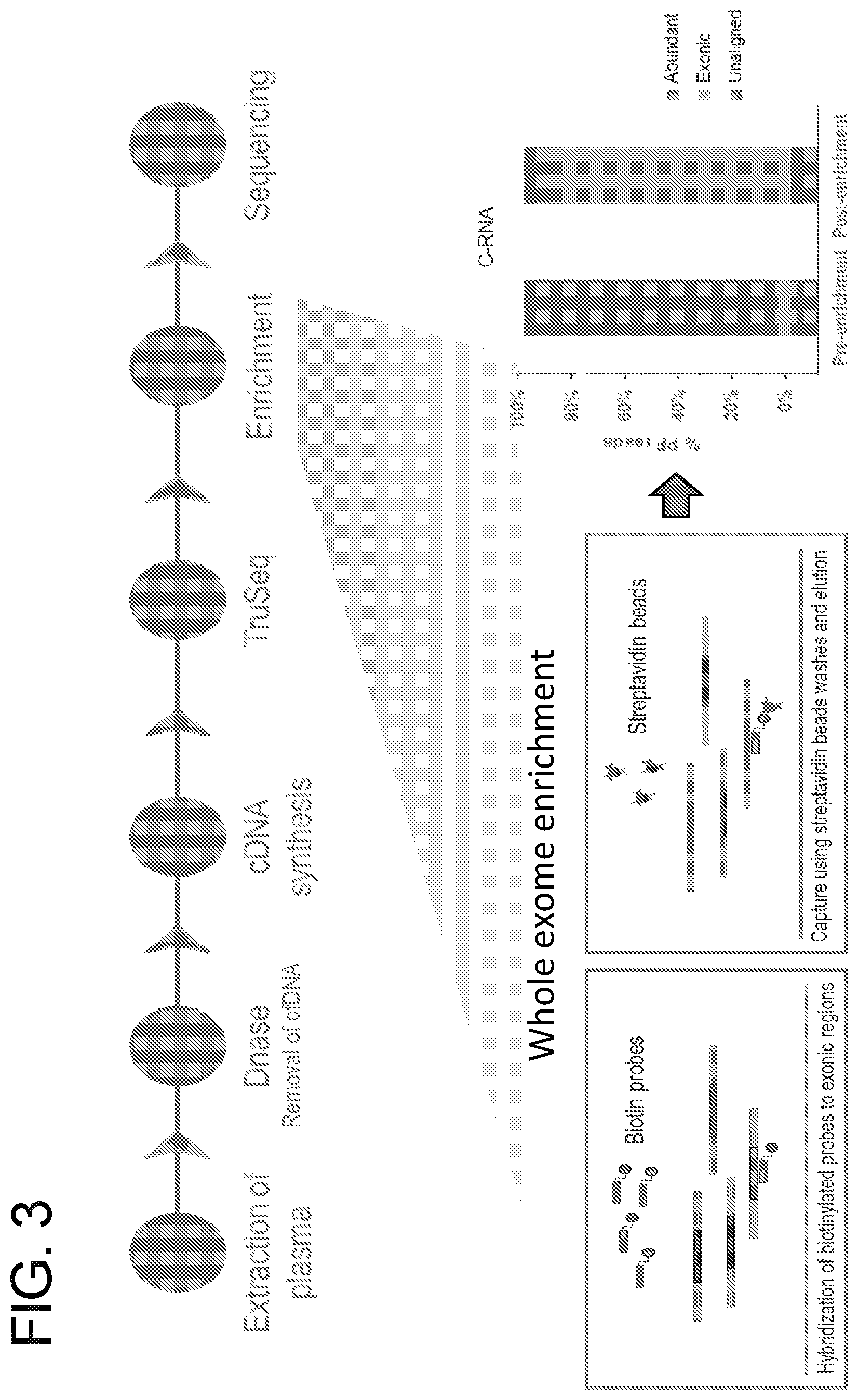 Patent US12359256 Figure 3 – Circulating RNA signatures specific to preeclampsia