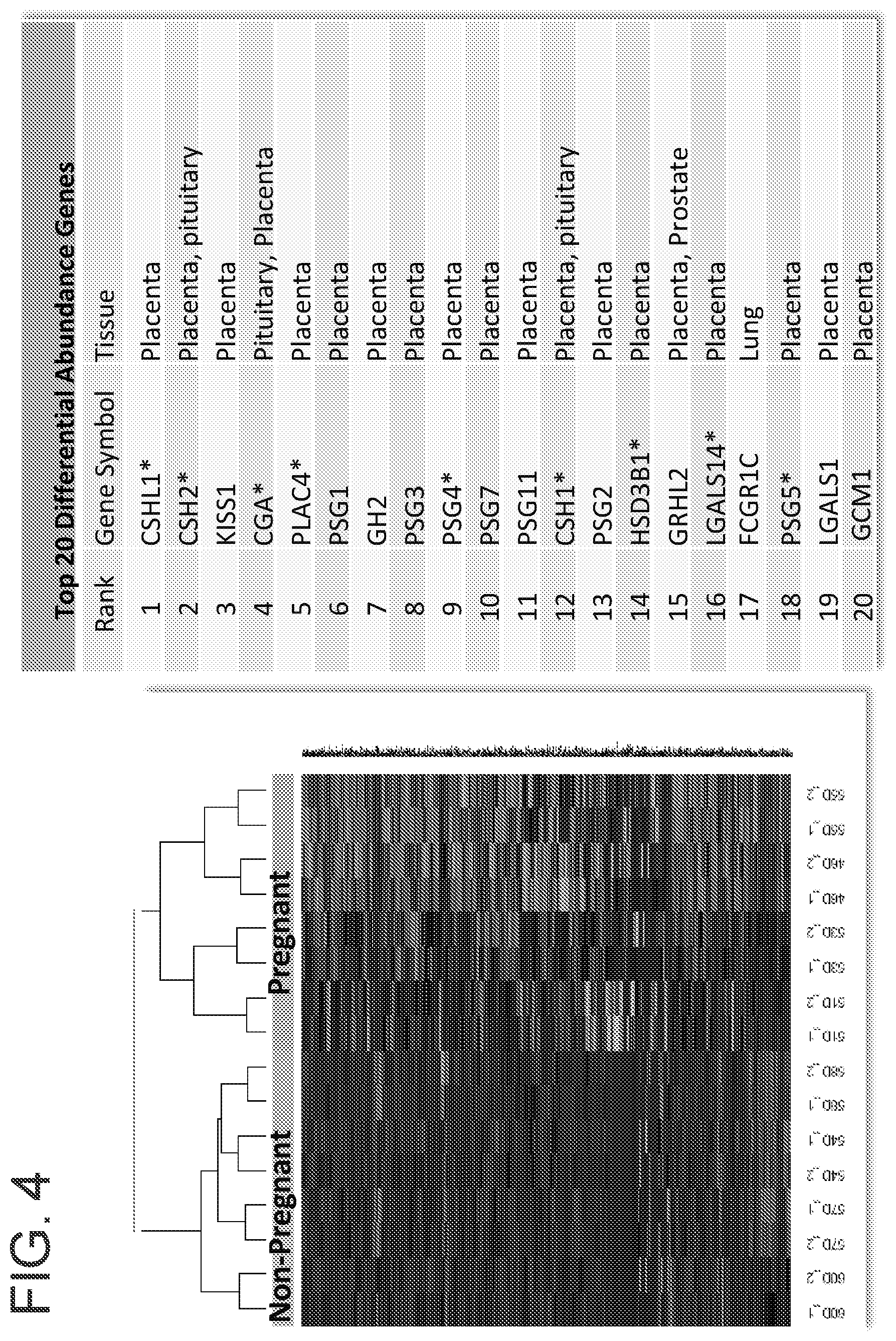 Patent US12359256 Figure 4 – Circulating RNA signatures specific to preeclampsia