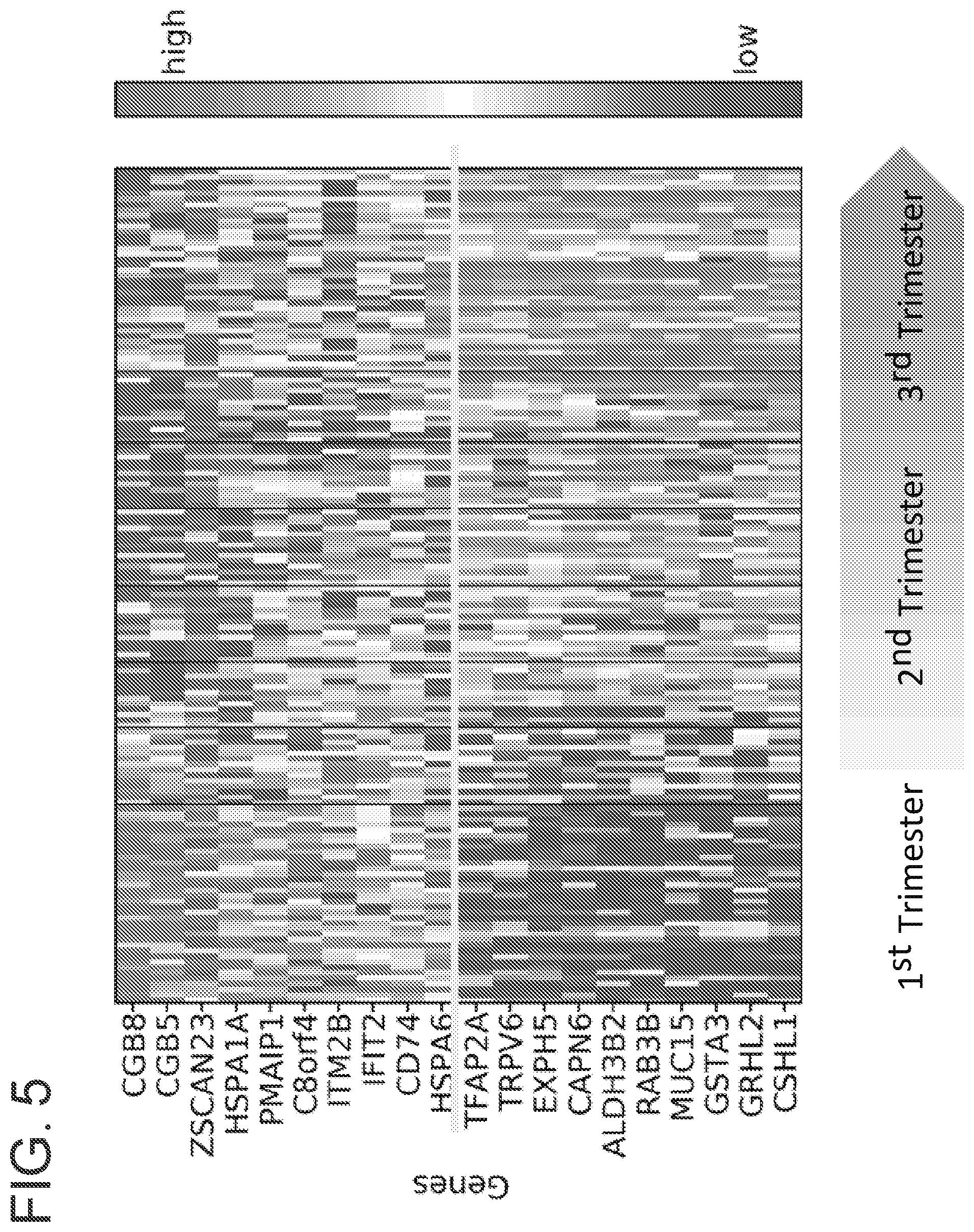 Patent US12359256 Figure 5 – Circulating RNA signatures specific to preeclampsia