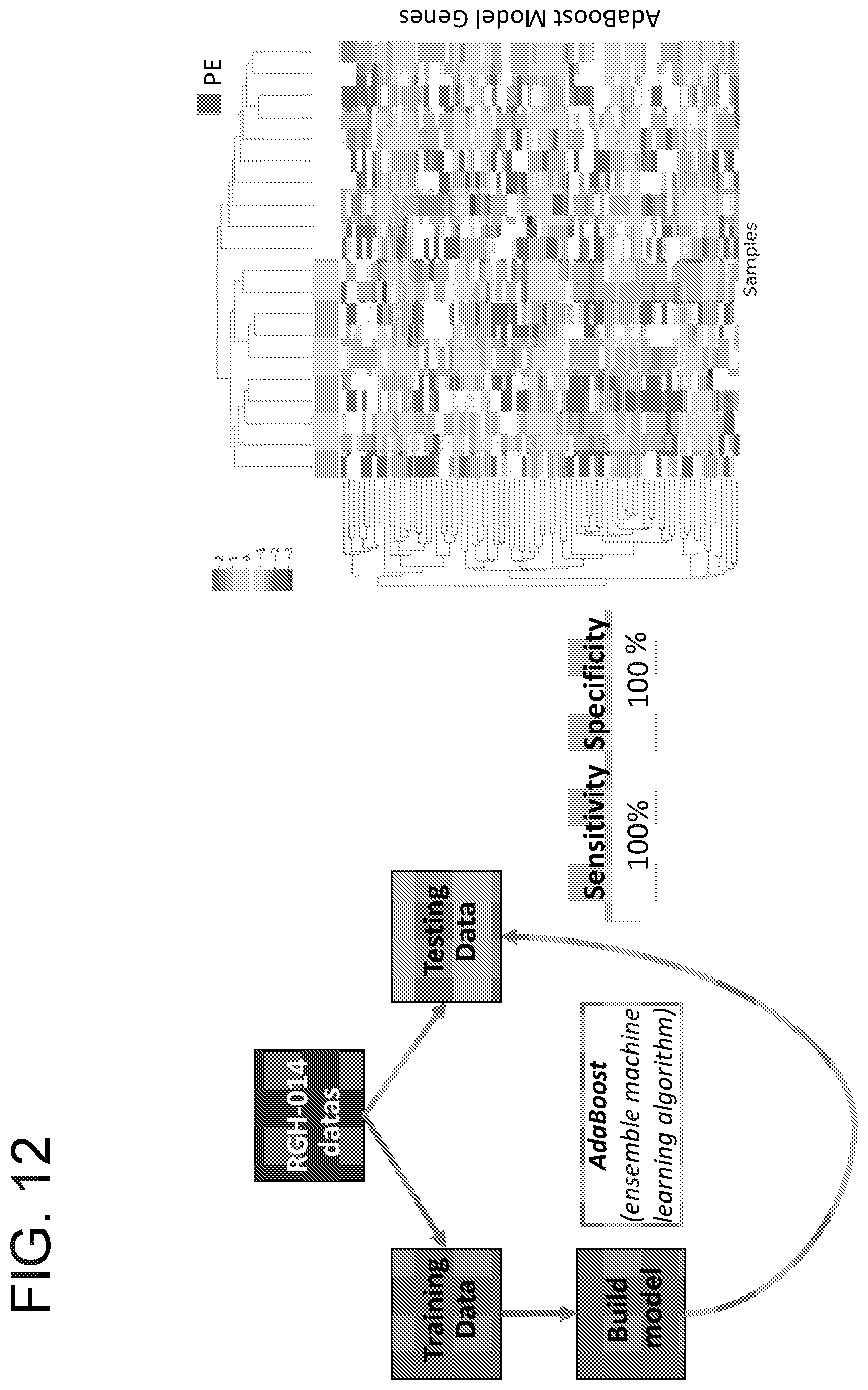 Patent US12359256 Figure 12 – Circulating RNA signatures specific to preeclampsia