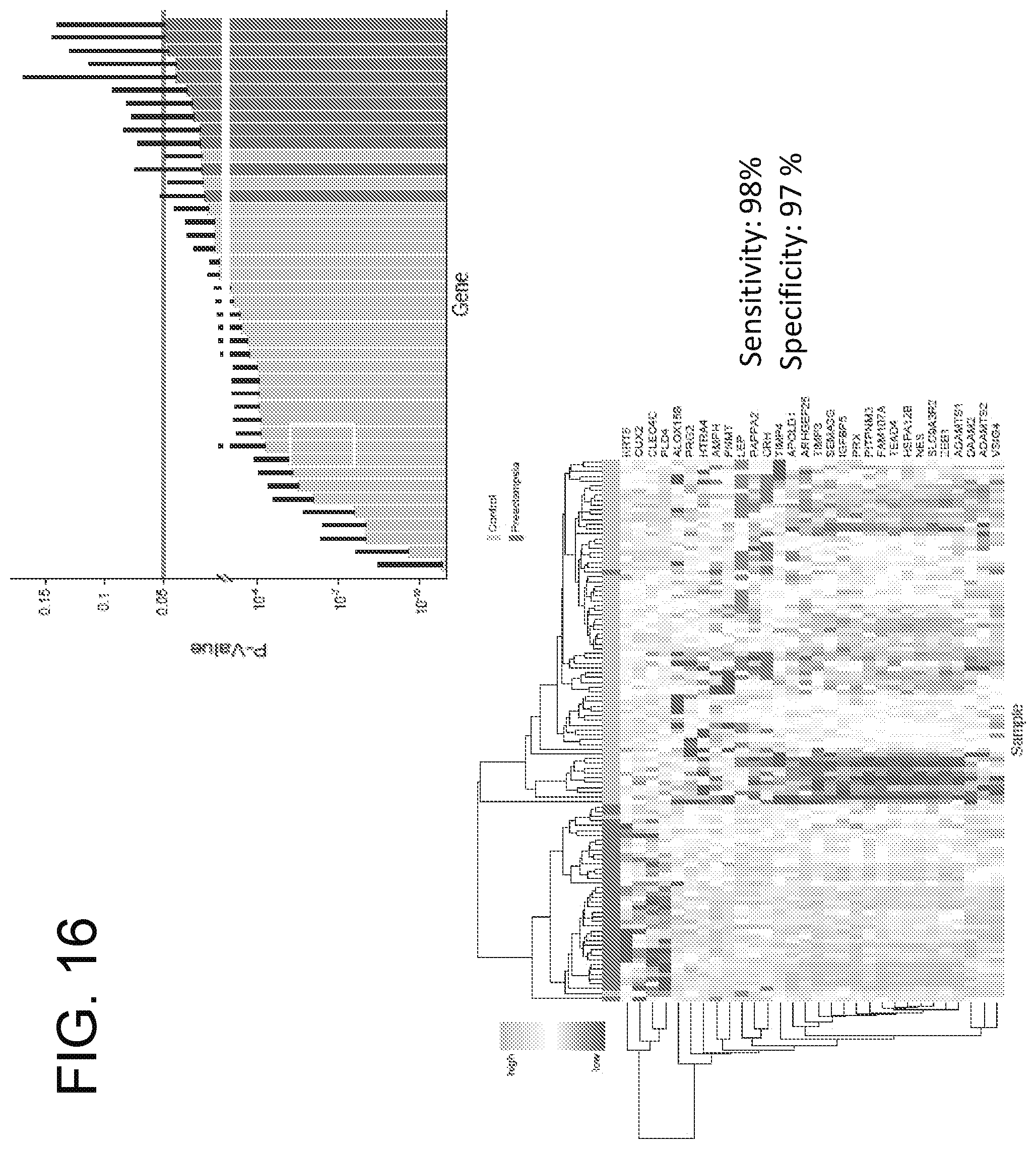 Patent US12359256 Figure 16 – Circulating RNA signatures specific to preeclampsia